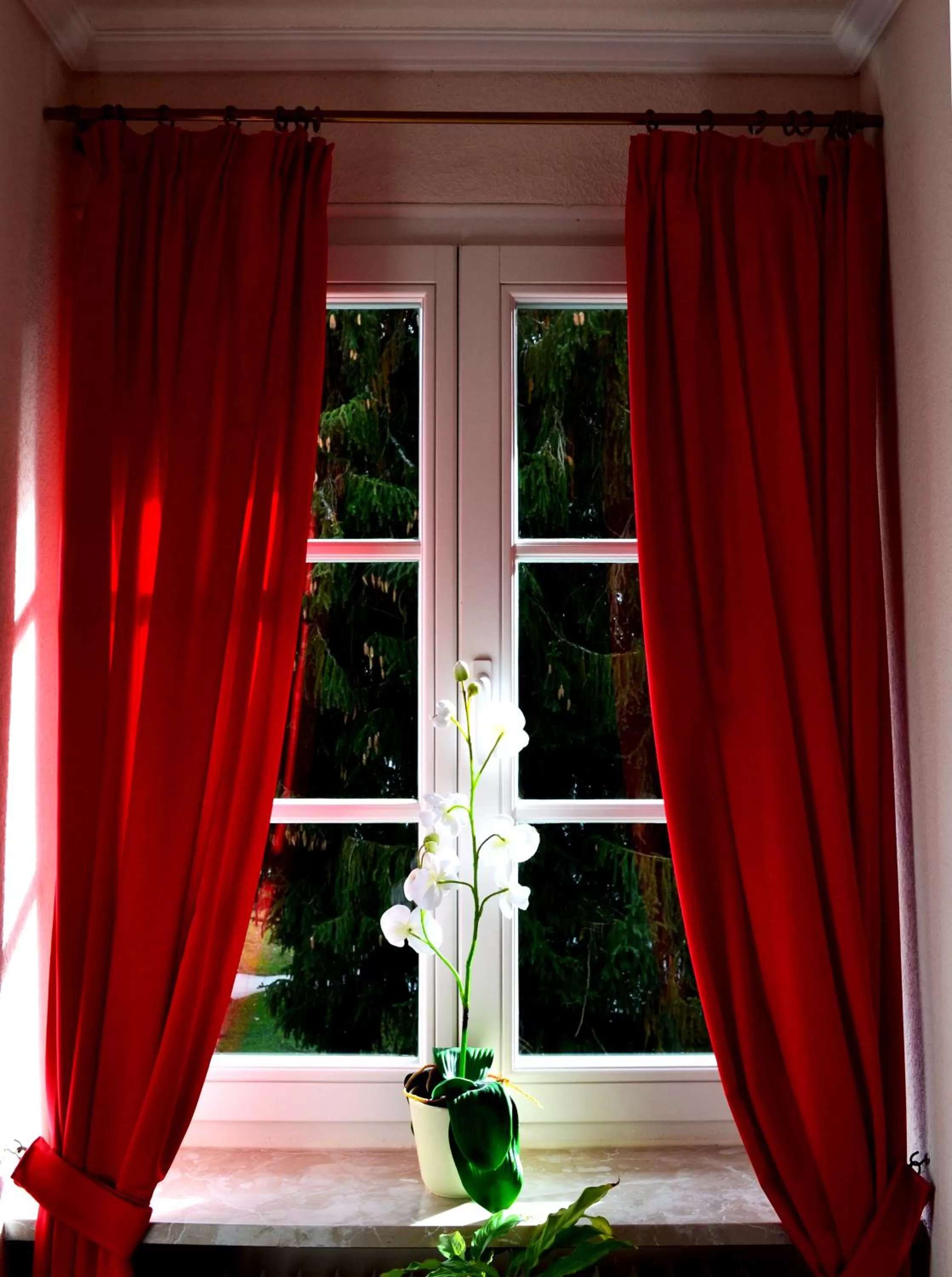 Other in Hotel Athos