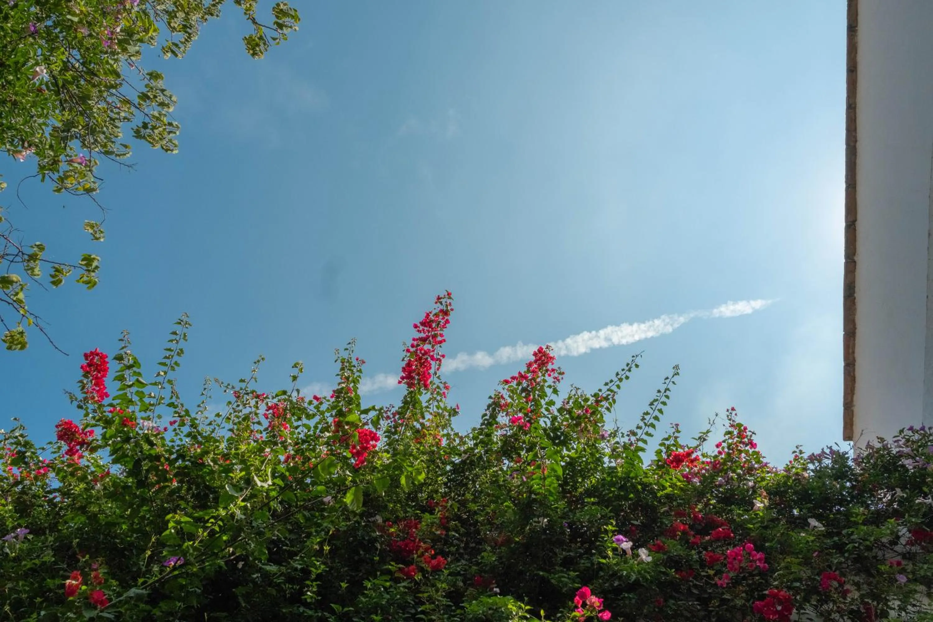 Spring in Hotel Layseca