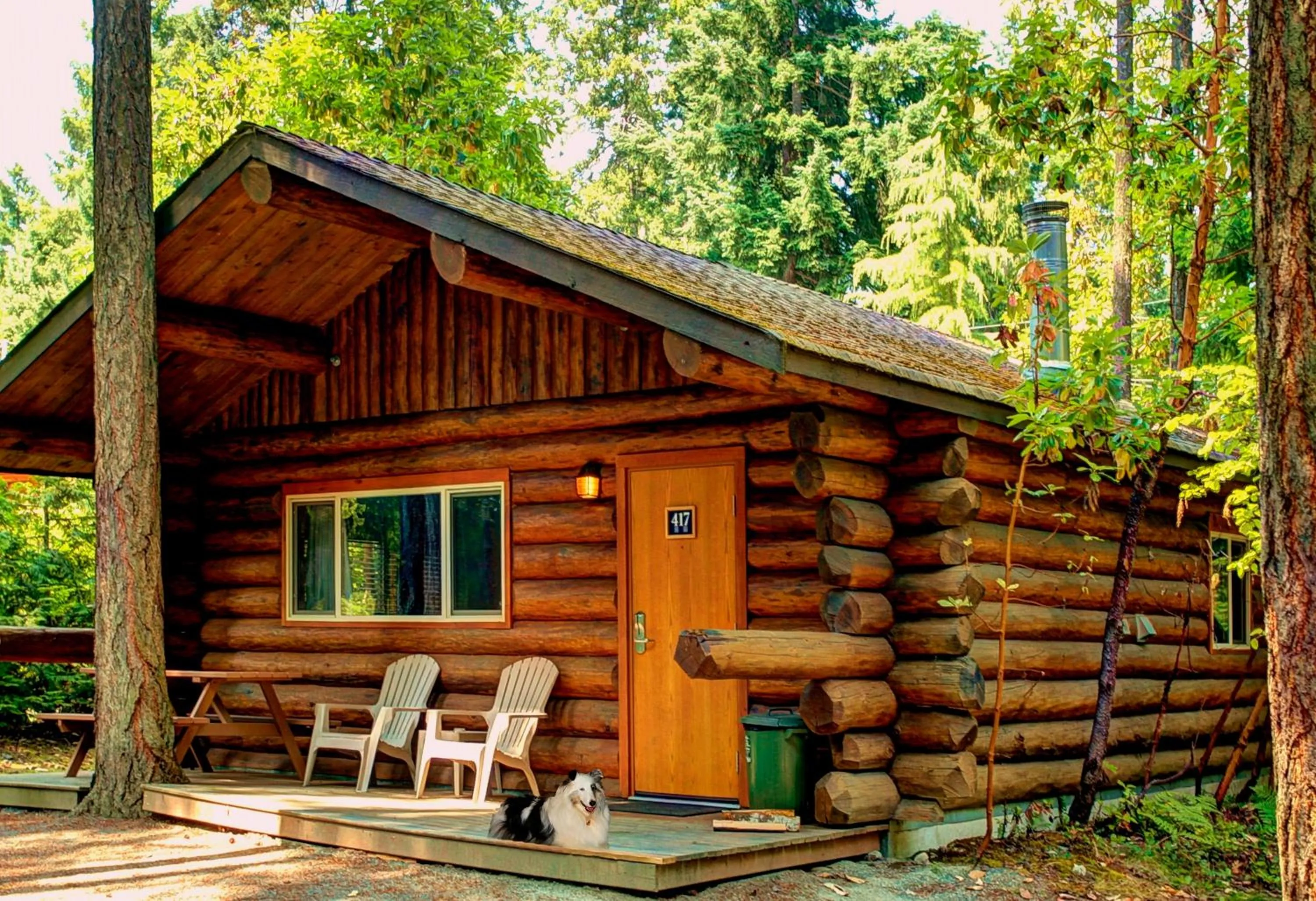 Natural landscape in Tigh-Na-Mara Seaside Spa Resort