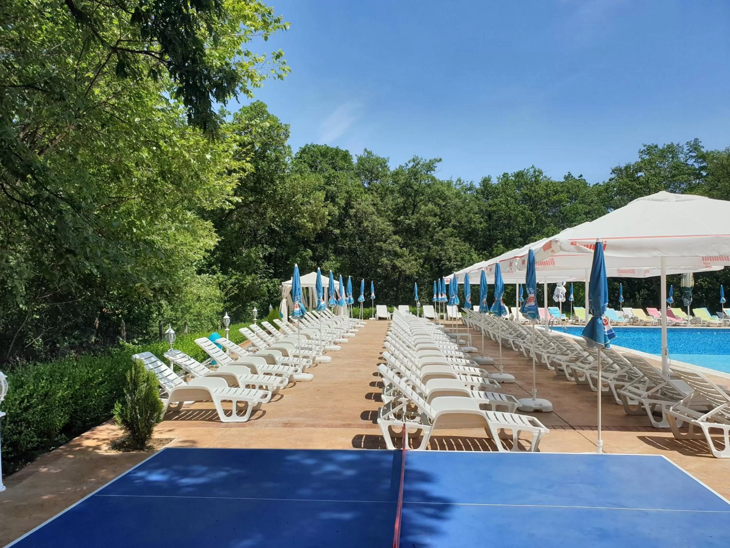 Swimming Pool in Hotel Afrodita Dimitrovgrad BG