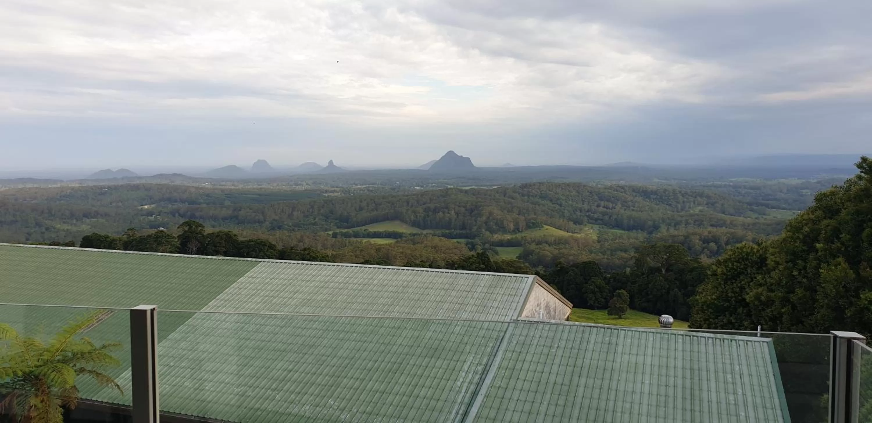 Day in Tranquil Park