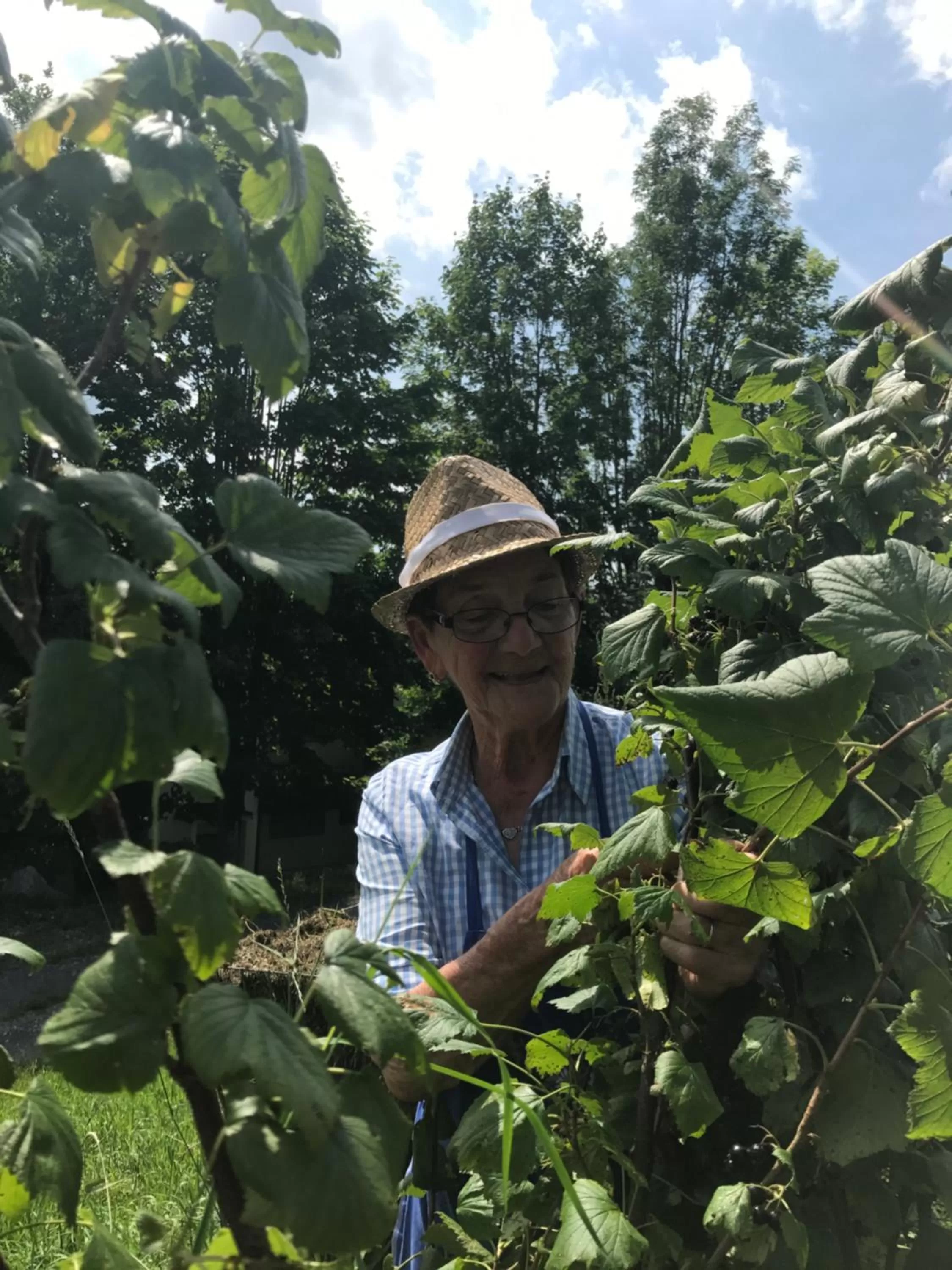 People in Hotel Garni Wieshof