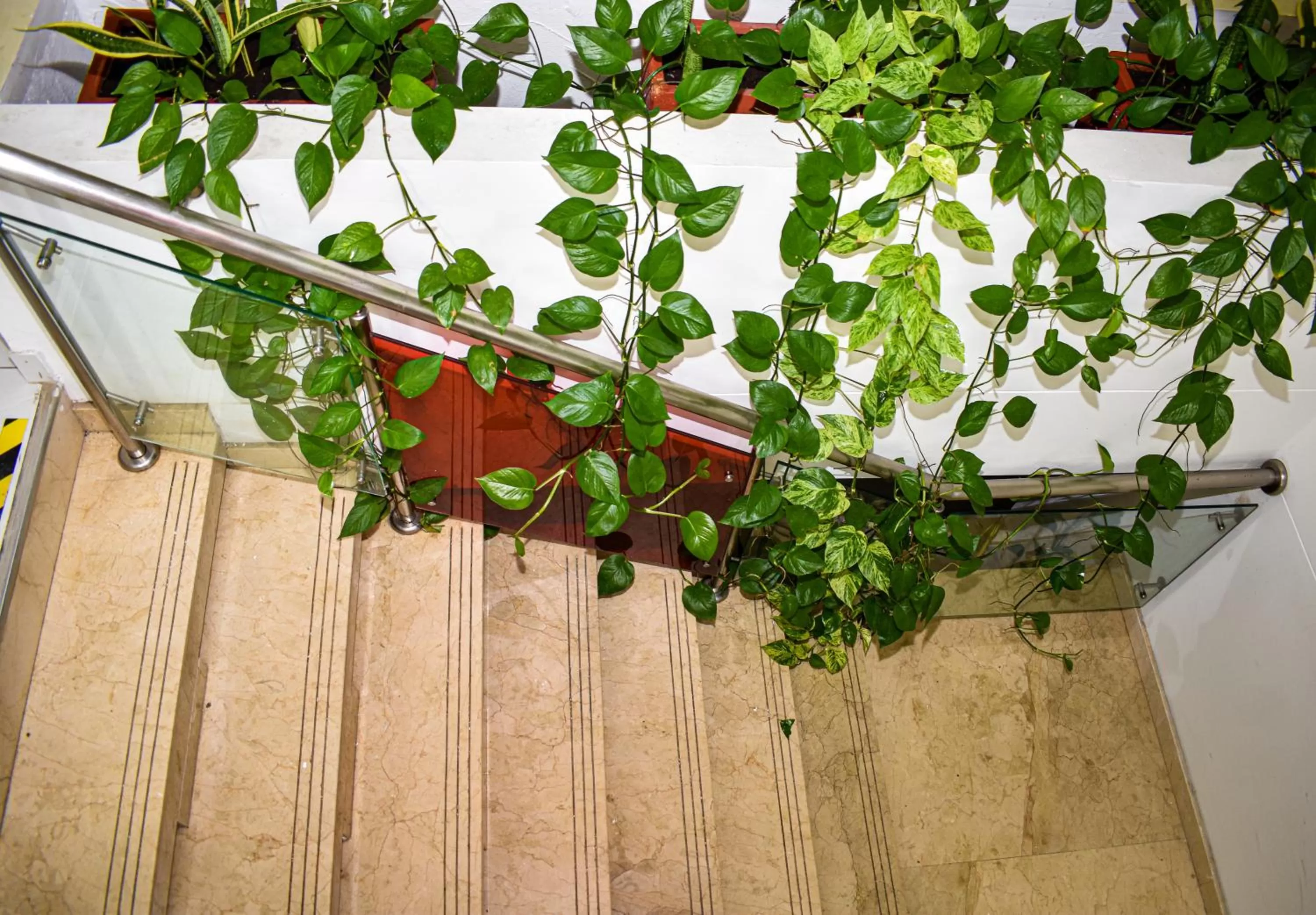 Property building in Hotel Isla Capri