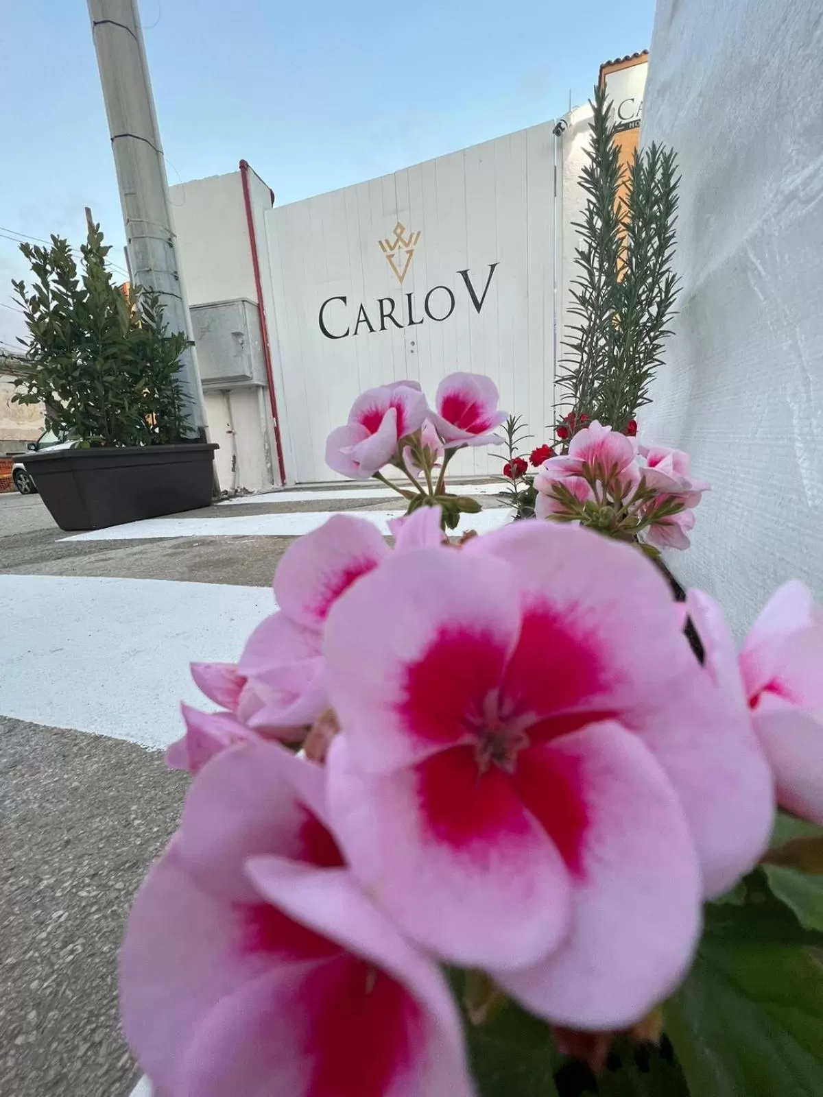 Property Building in Carlo V - Holiday Rooms