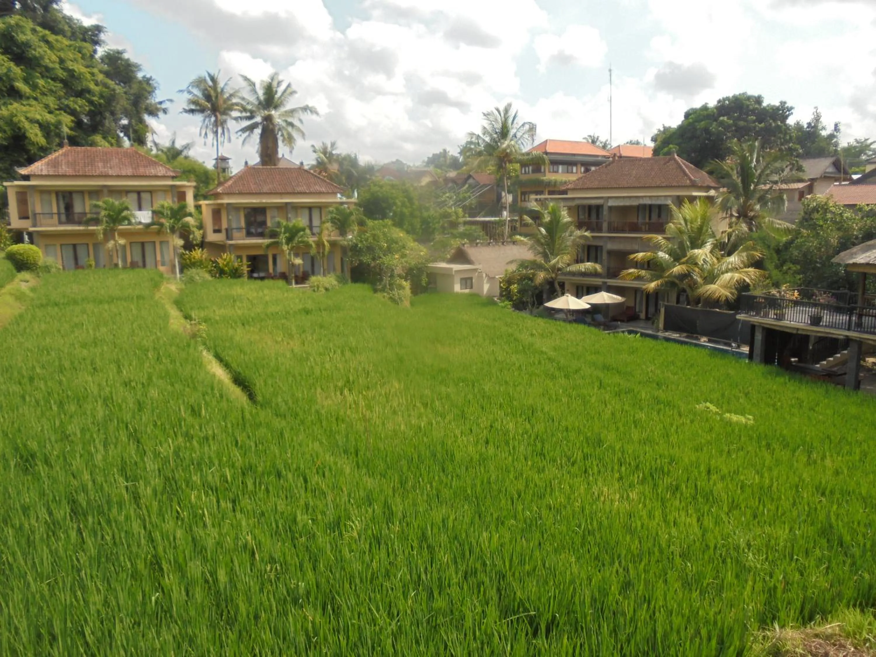 Natural landscape in Biyukukung Suite & Spa