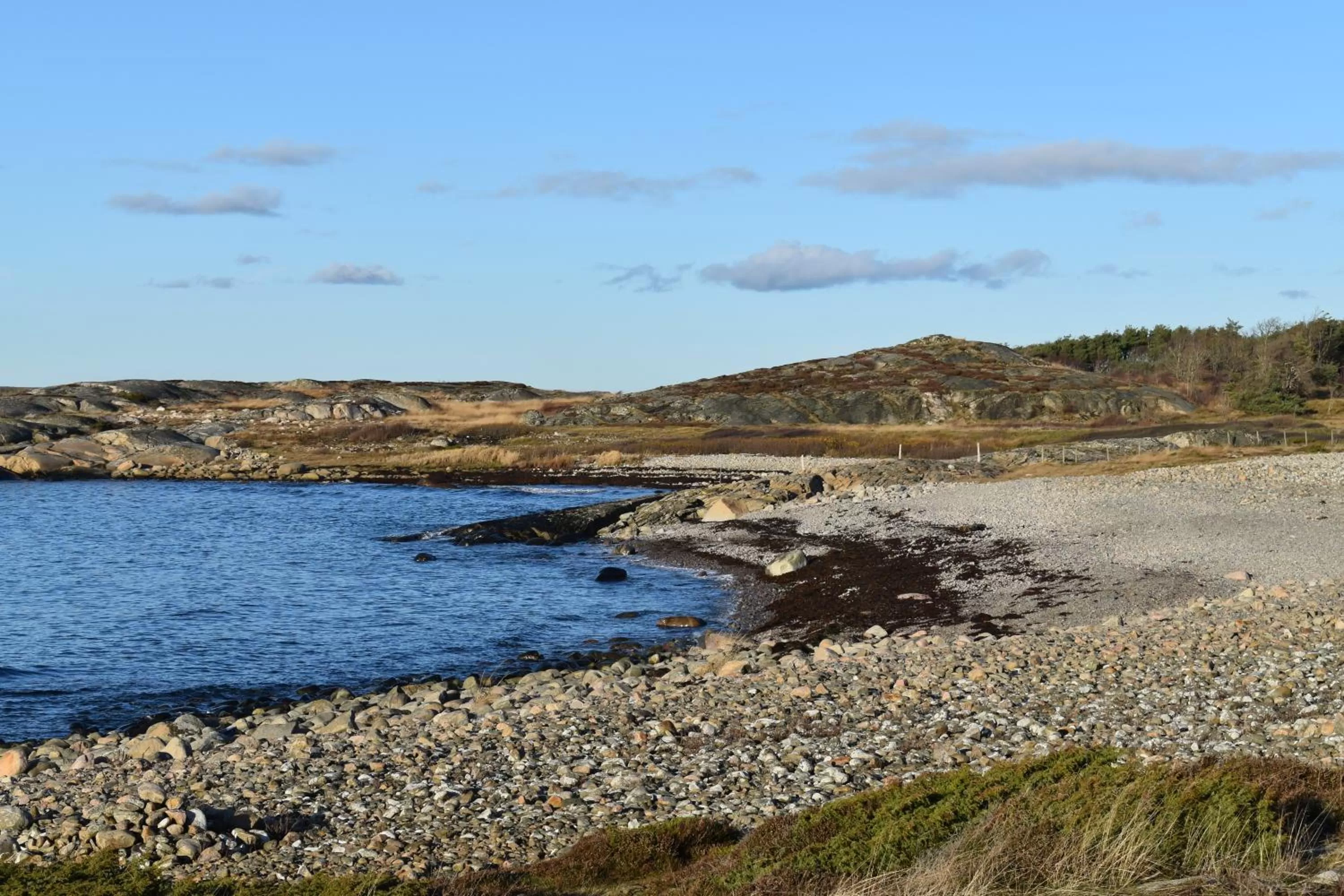 Natural landscape in Åsa Jutegård