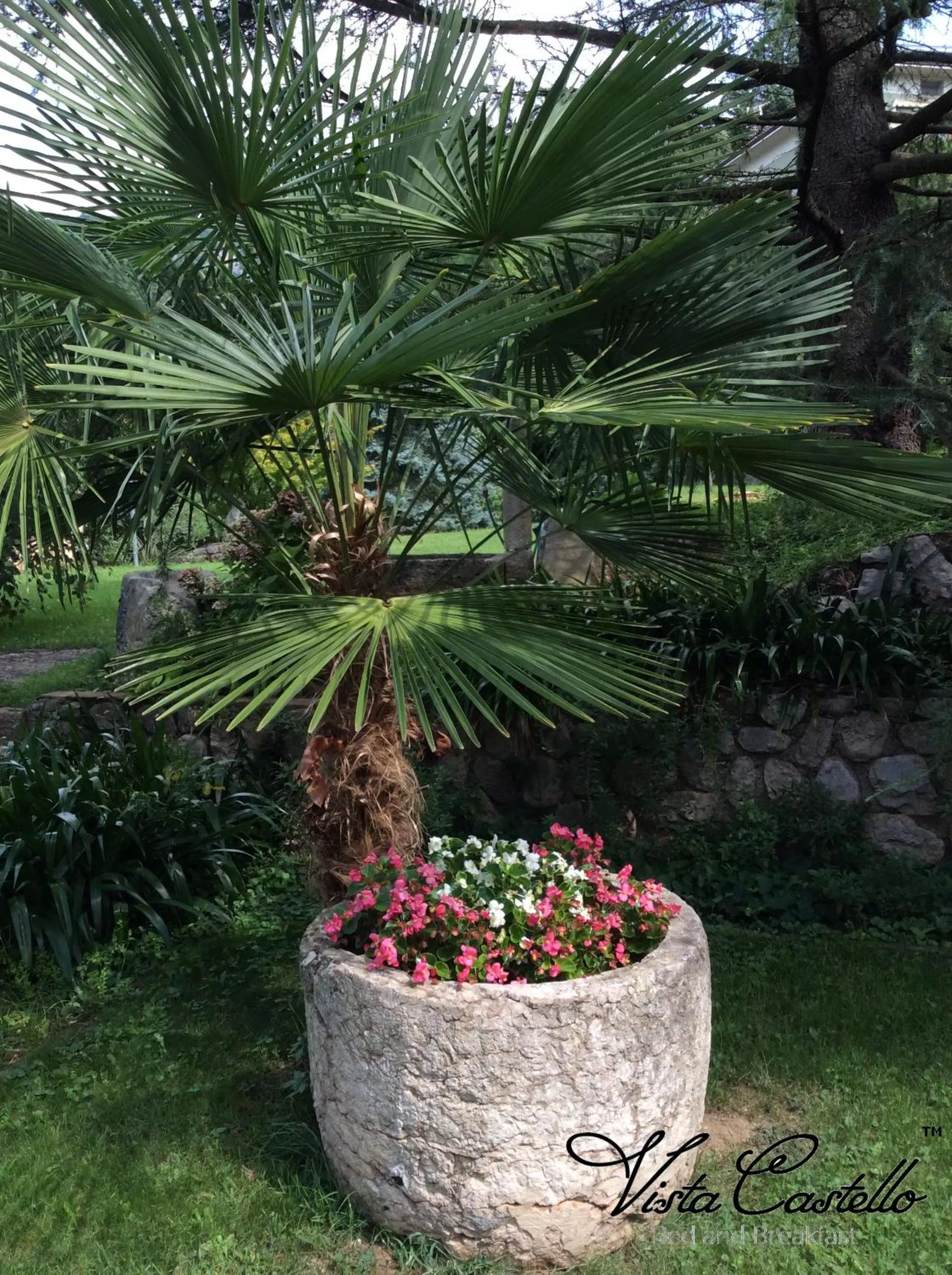 Summer in Vista Castello