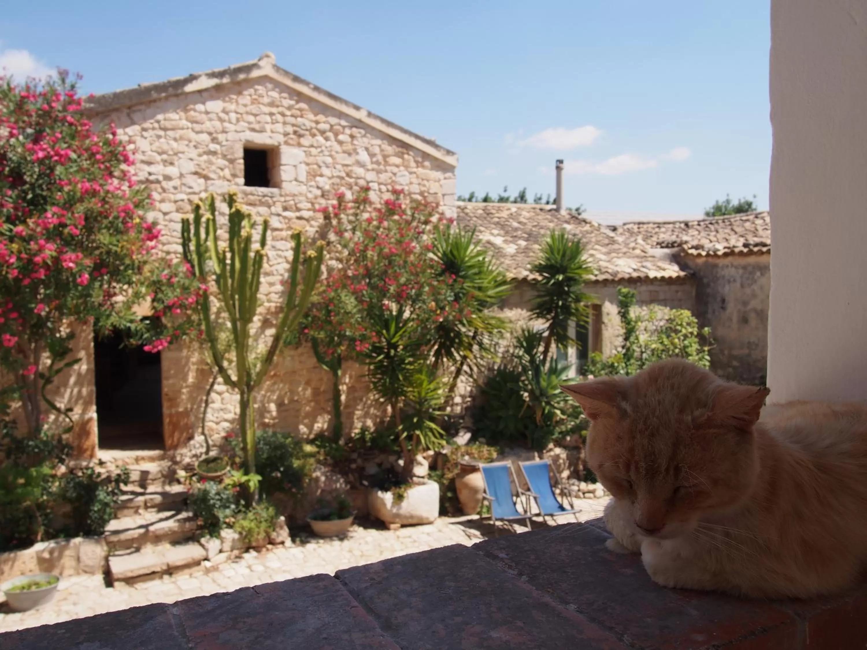 Property building in Vinciucci