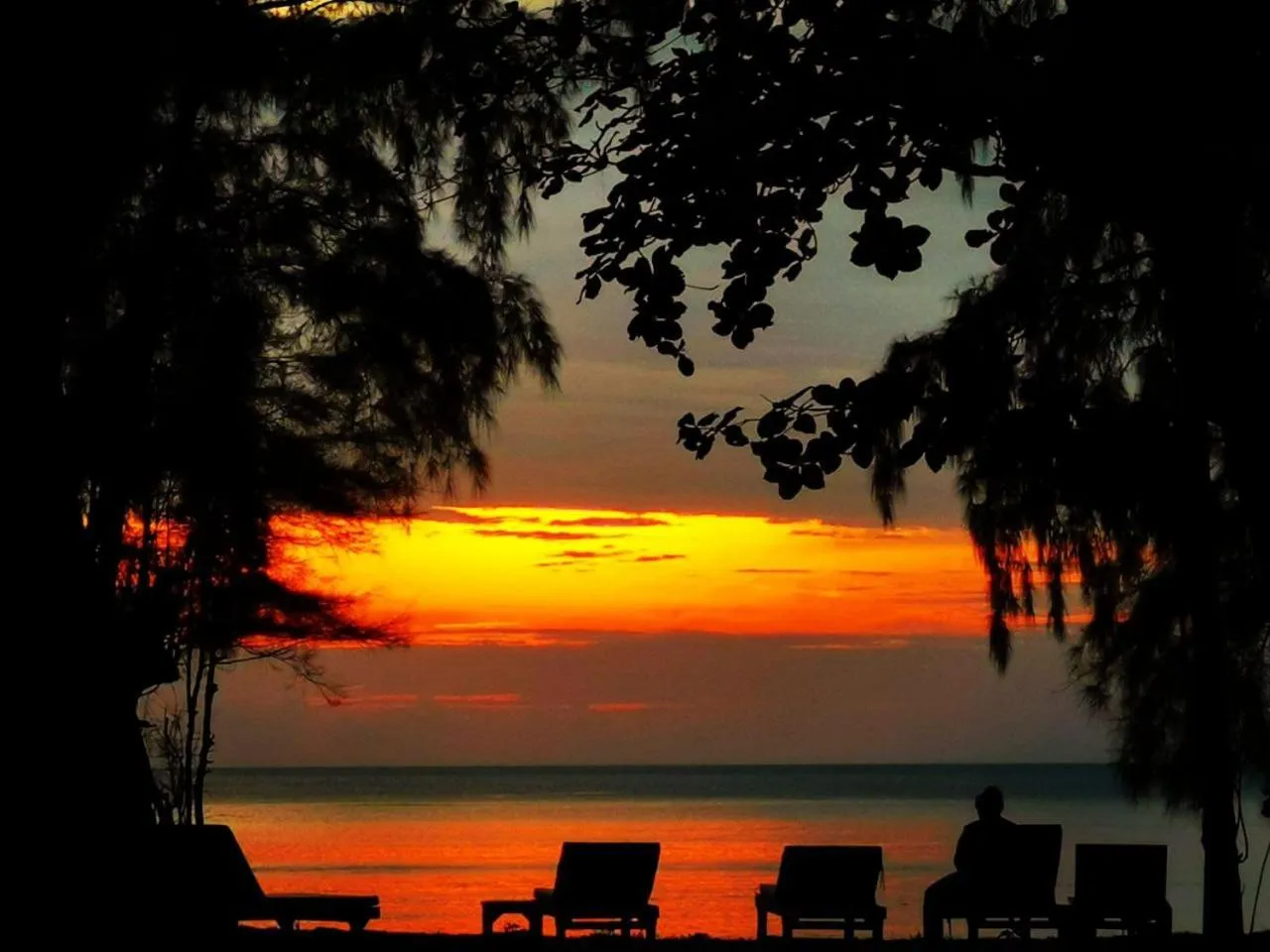 Natural landscape in Eco Lanta Hideaway Beach Resort