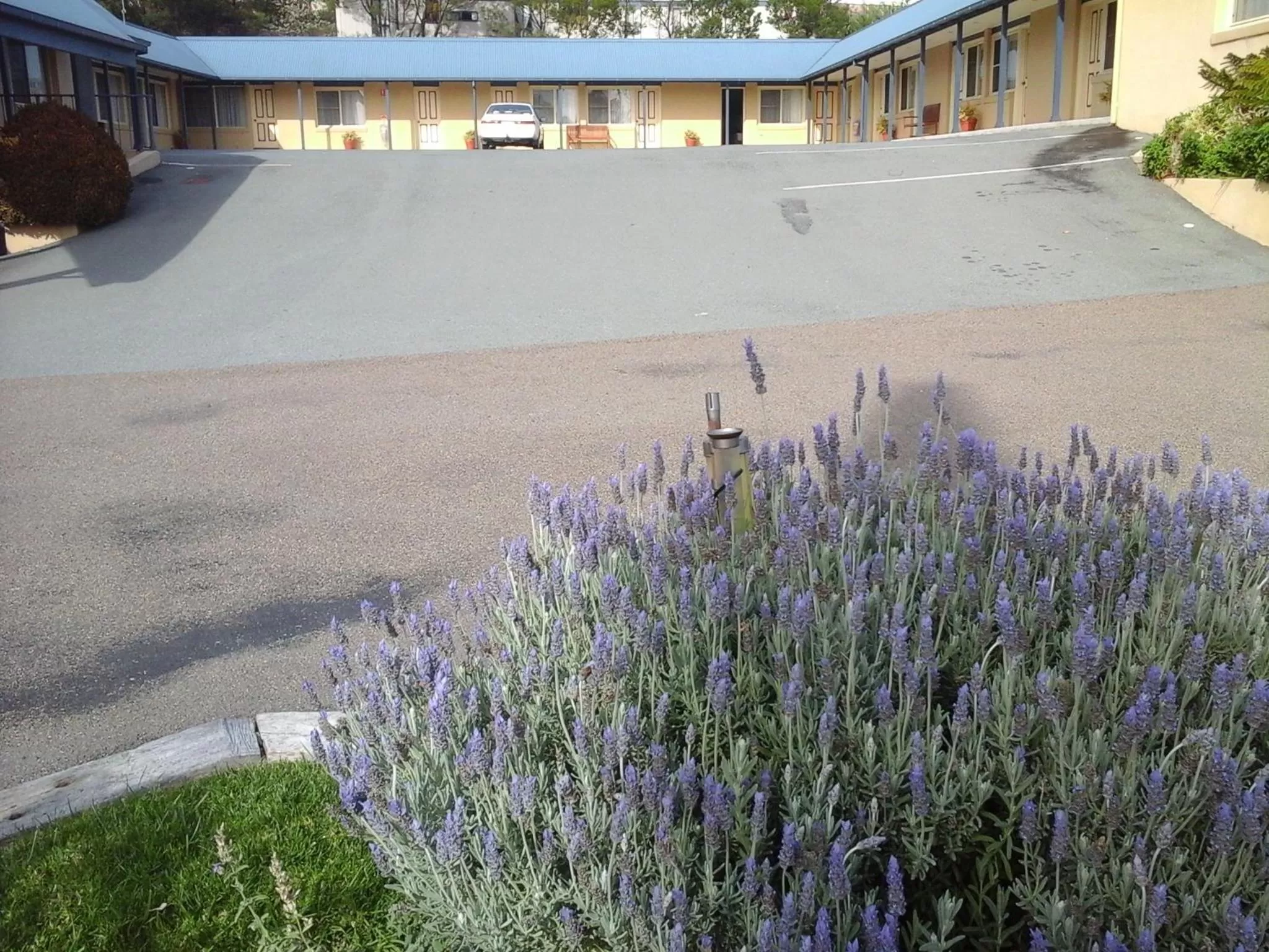 Property building in Willows Motel