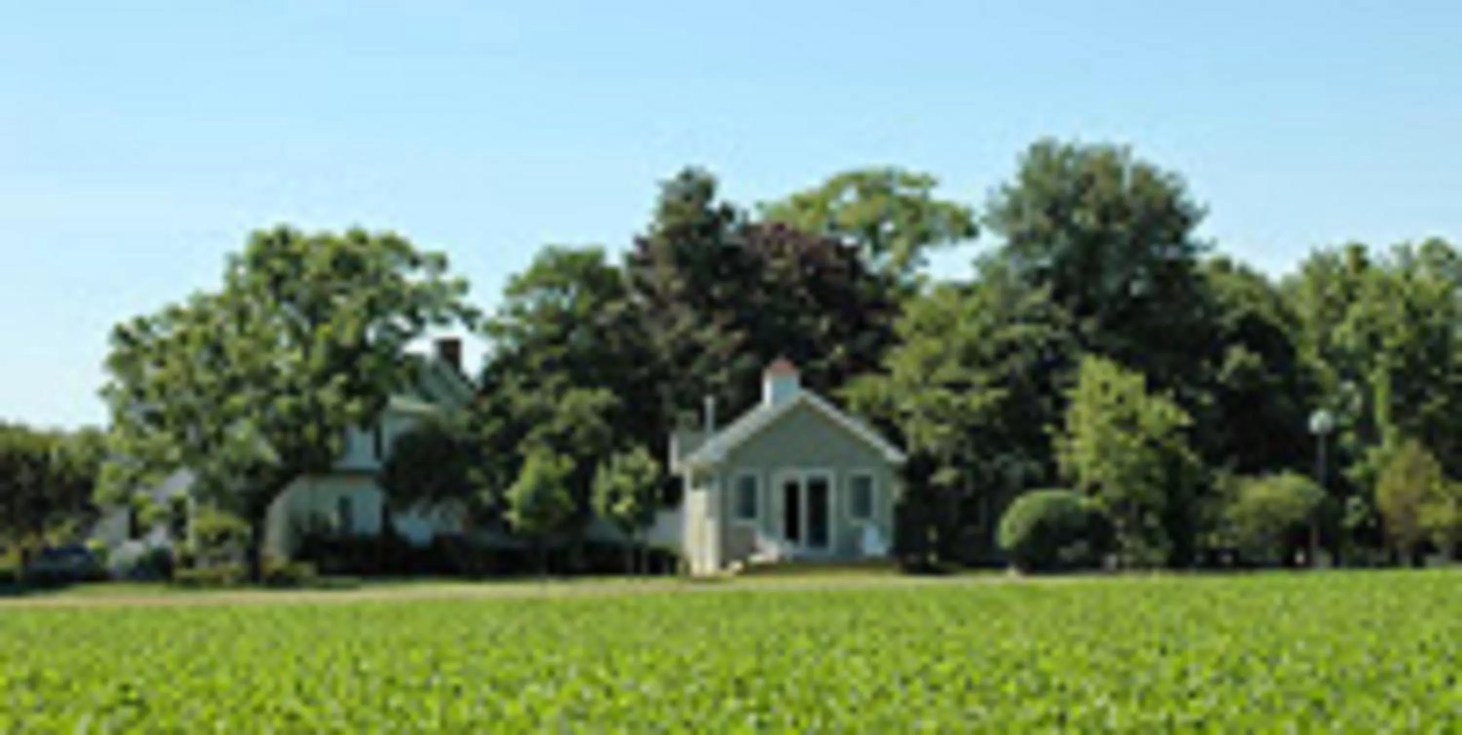 Area and facilities in Inn at Huntingfield Creek