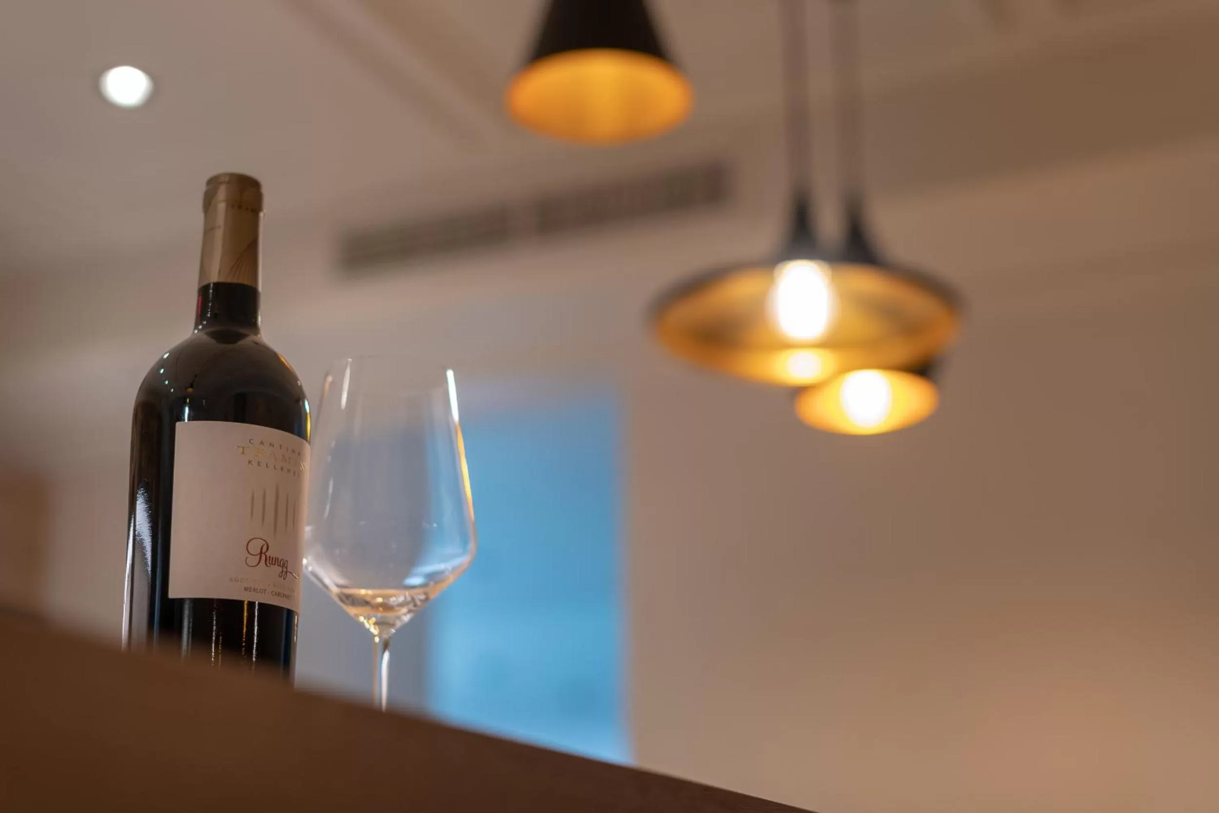 Lounge or bar in Residence Garni Hotel Vineus