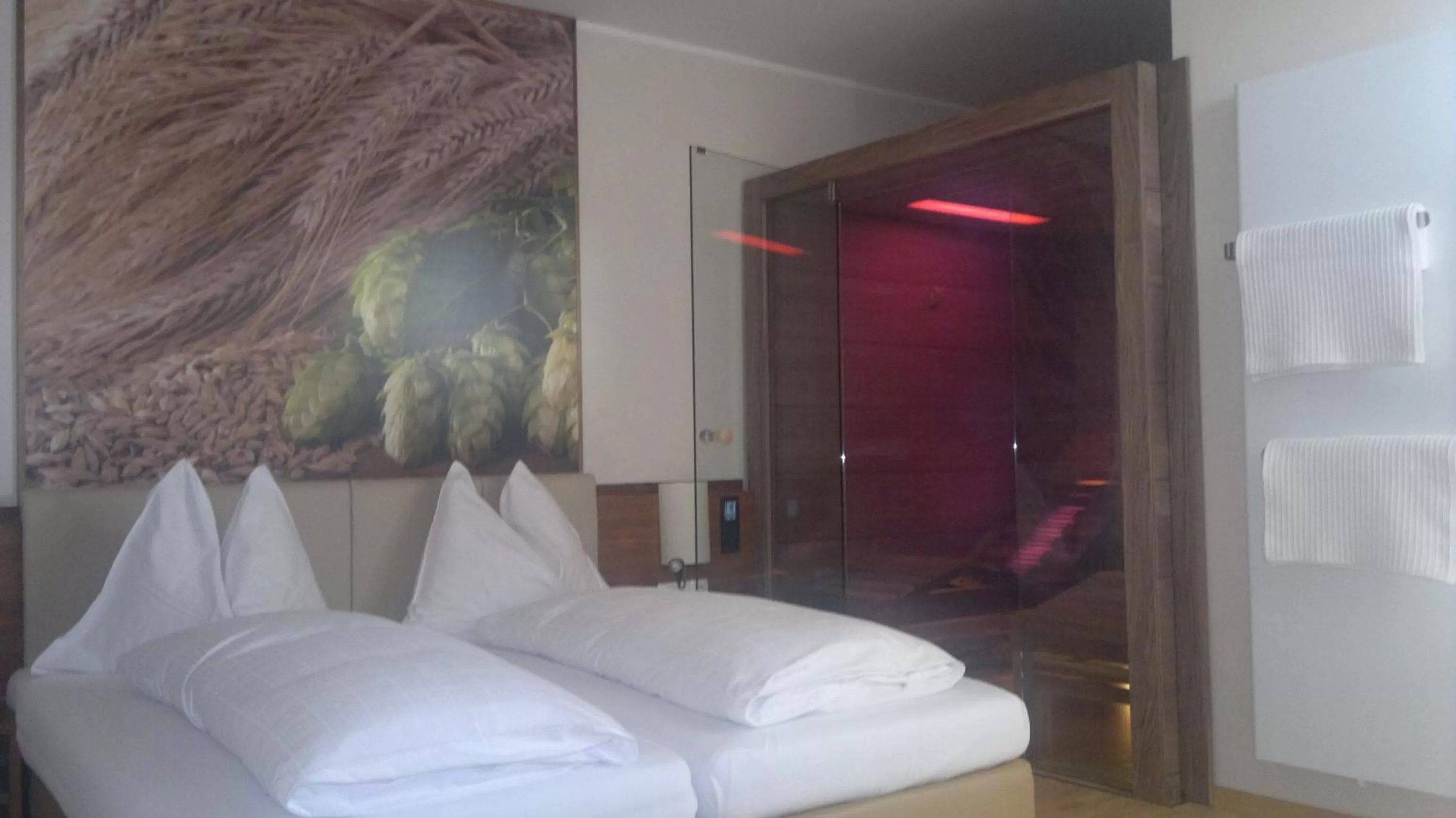 Suite with Sauna in Biergasthaus Schiffner