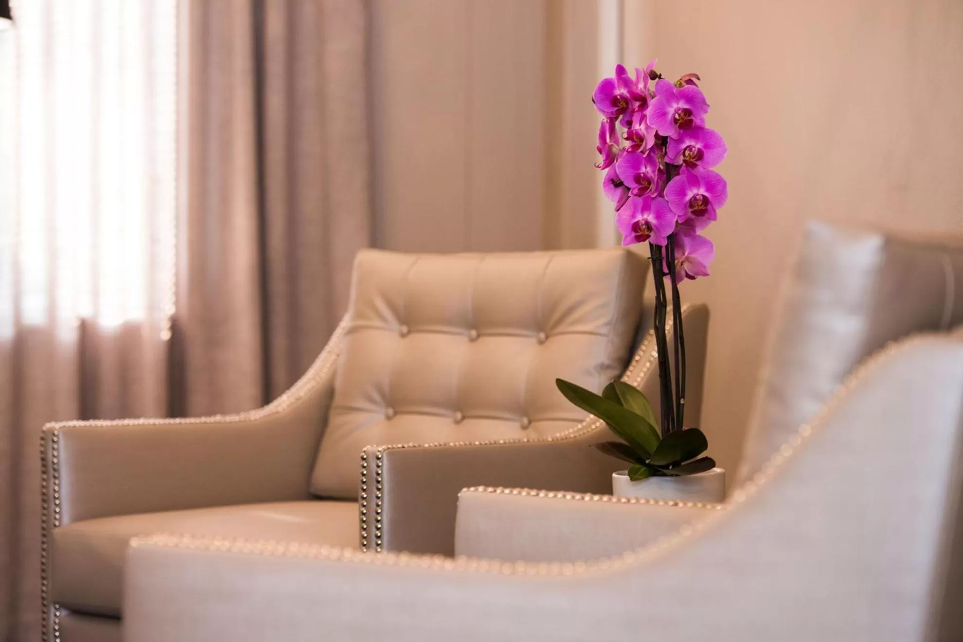 Communal lounge/ TV room in Simon's Town Quayside Hotel