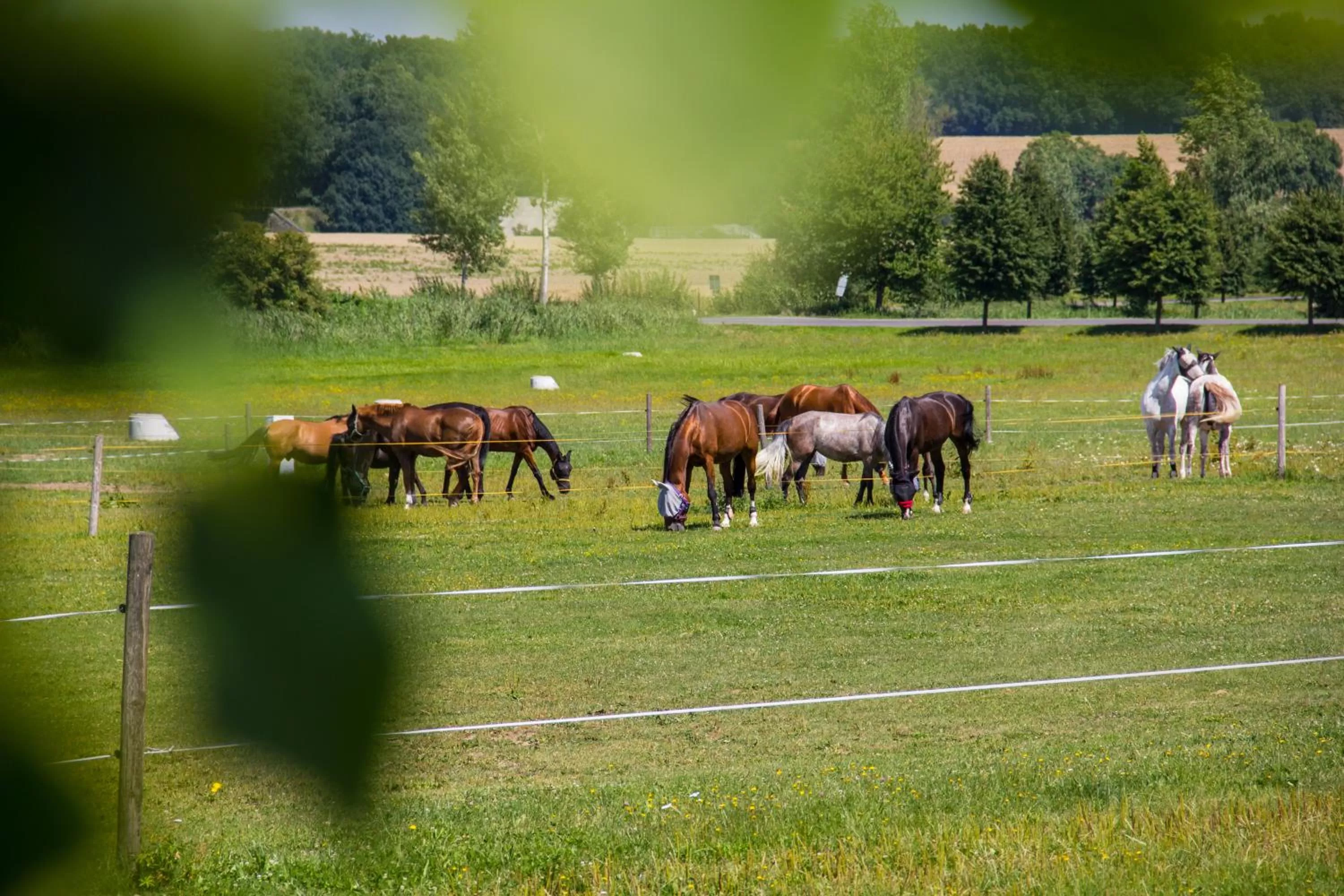 Neighbourhood in Equitana Hotel Resort
