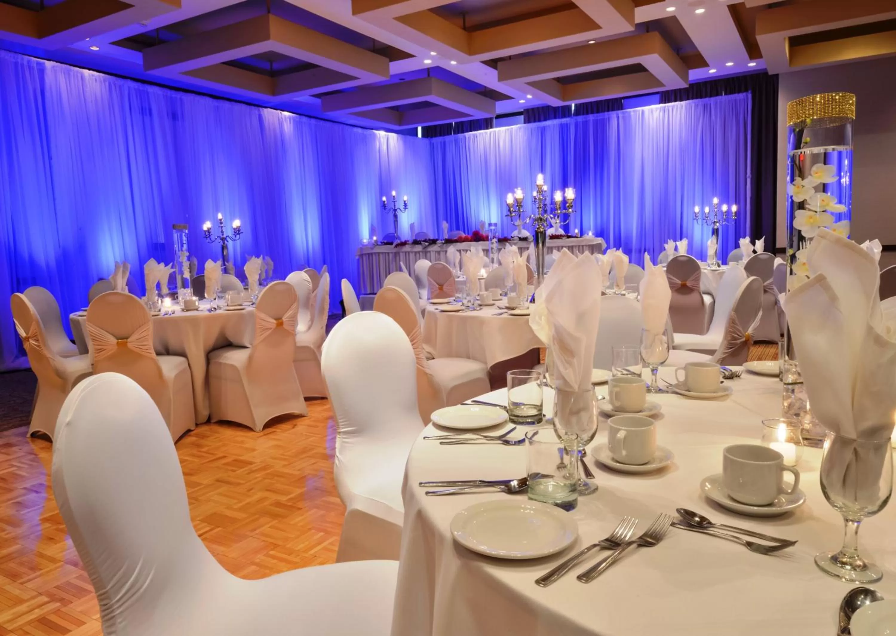 Banquet/Function facilities in Holiday Inn Montreal Centre Ville Downtown by IHG