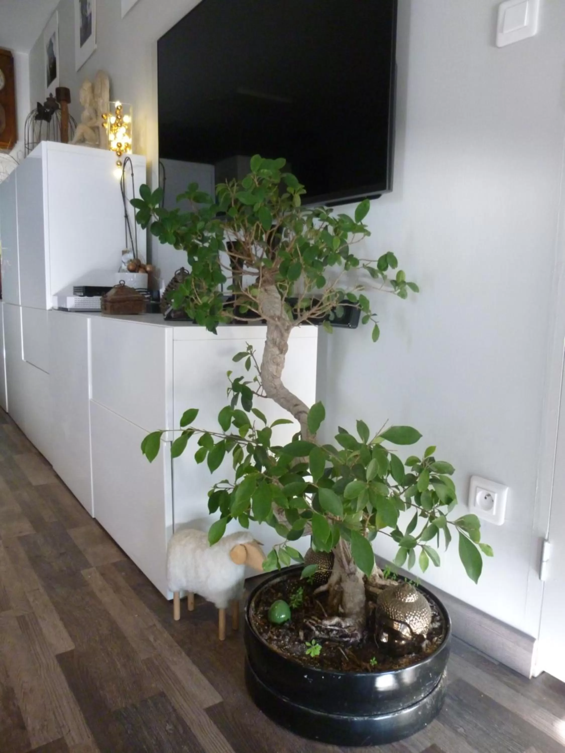 Decorative detail, TV/Entertainment Center in 1 Chambre, 1 P'tit dèj', 1 Sourire