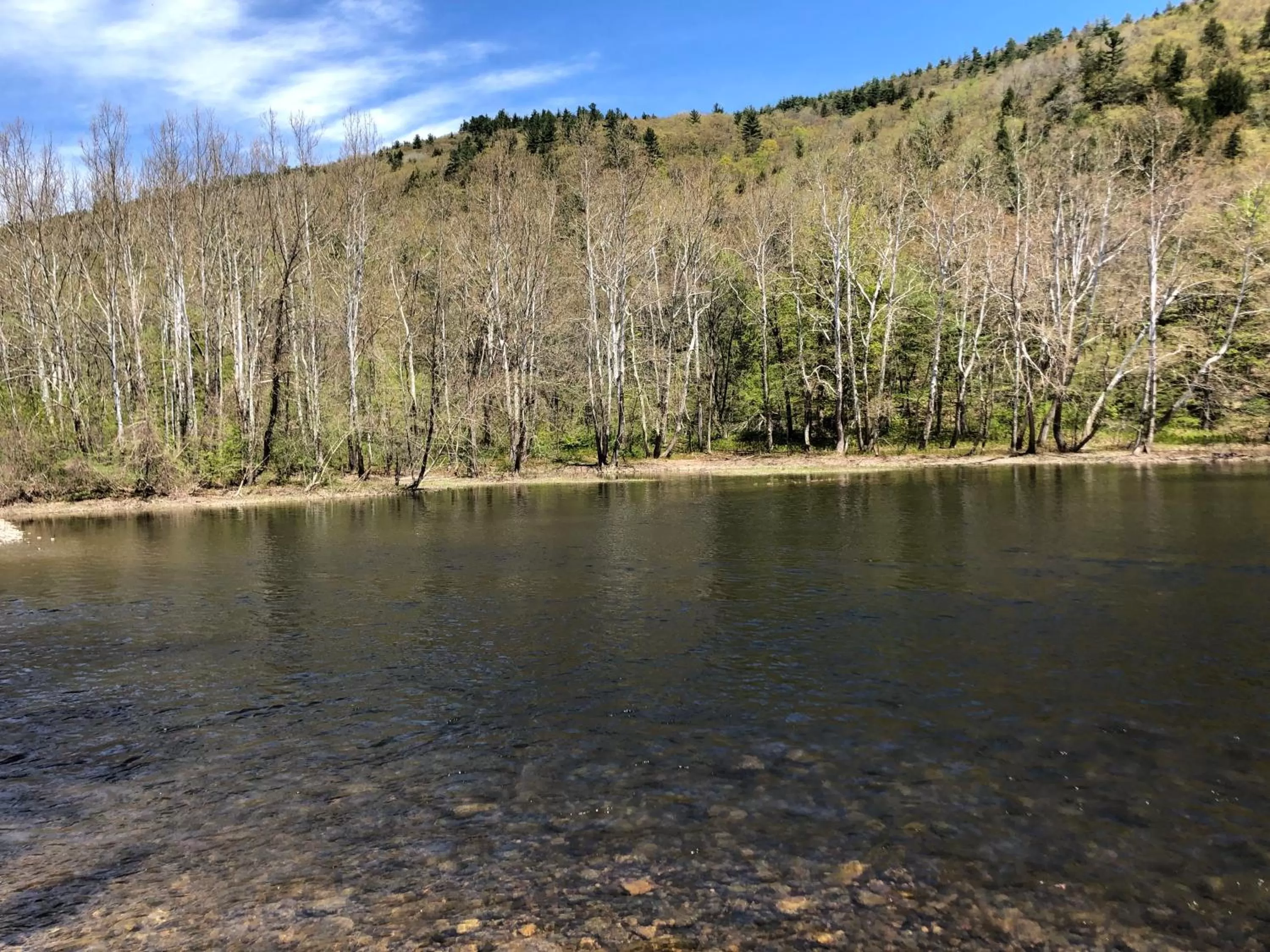 Spring in The Lodge at West River