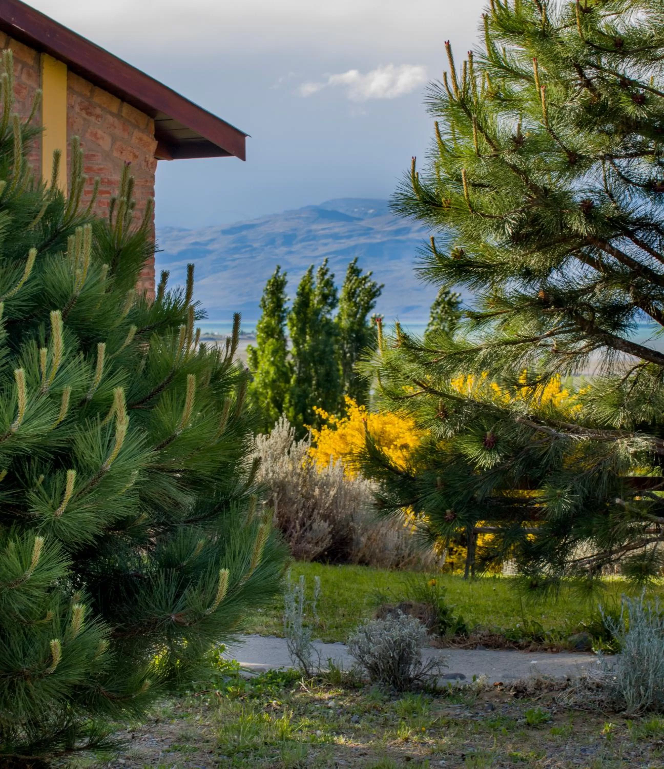 Natural landscape in Posada Larsen