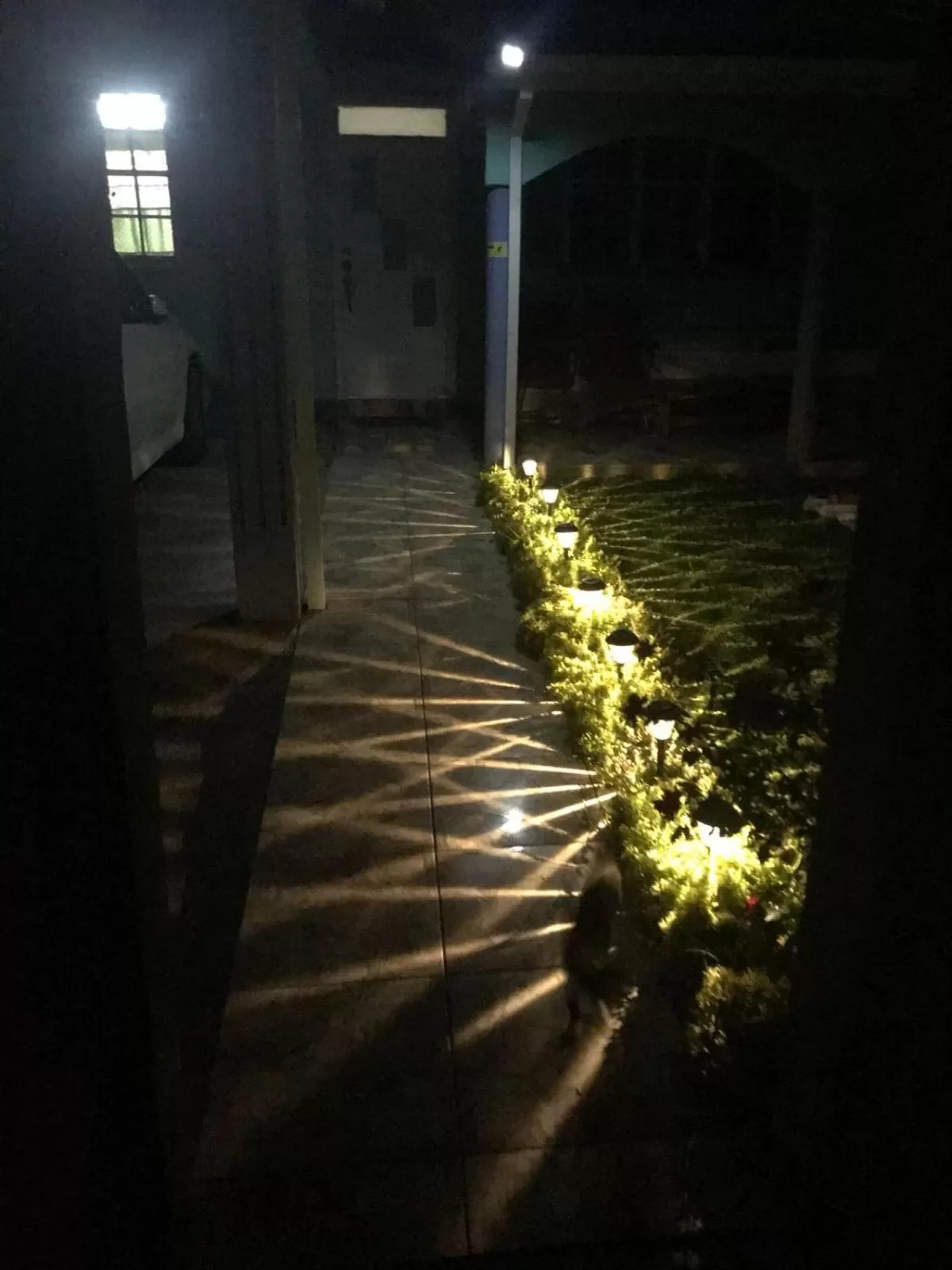 Matthew's Miracle View