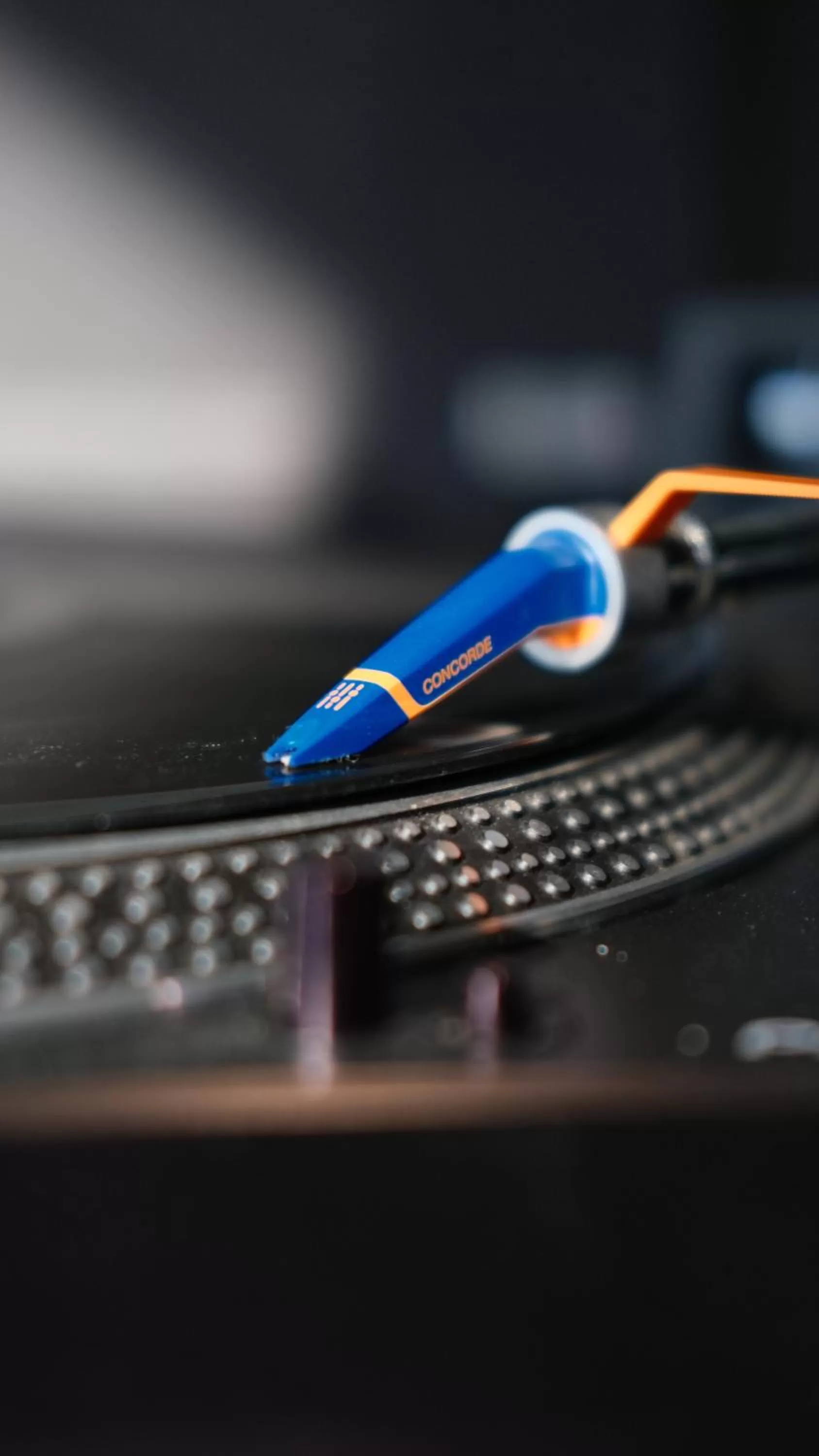 Restaurant/places to eat in Kartuli Hotel