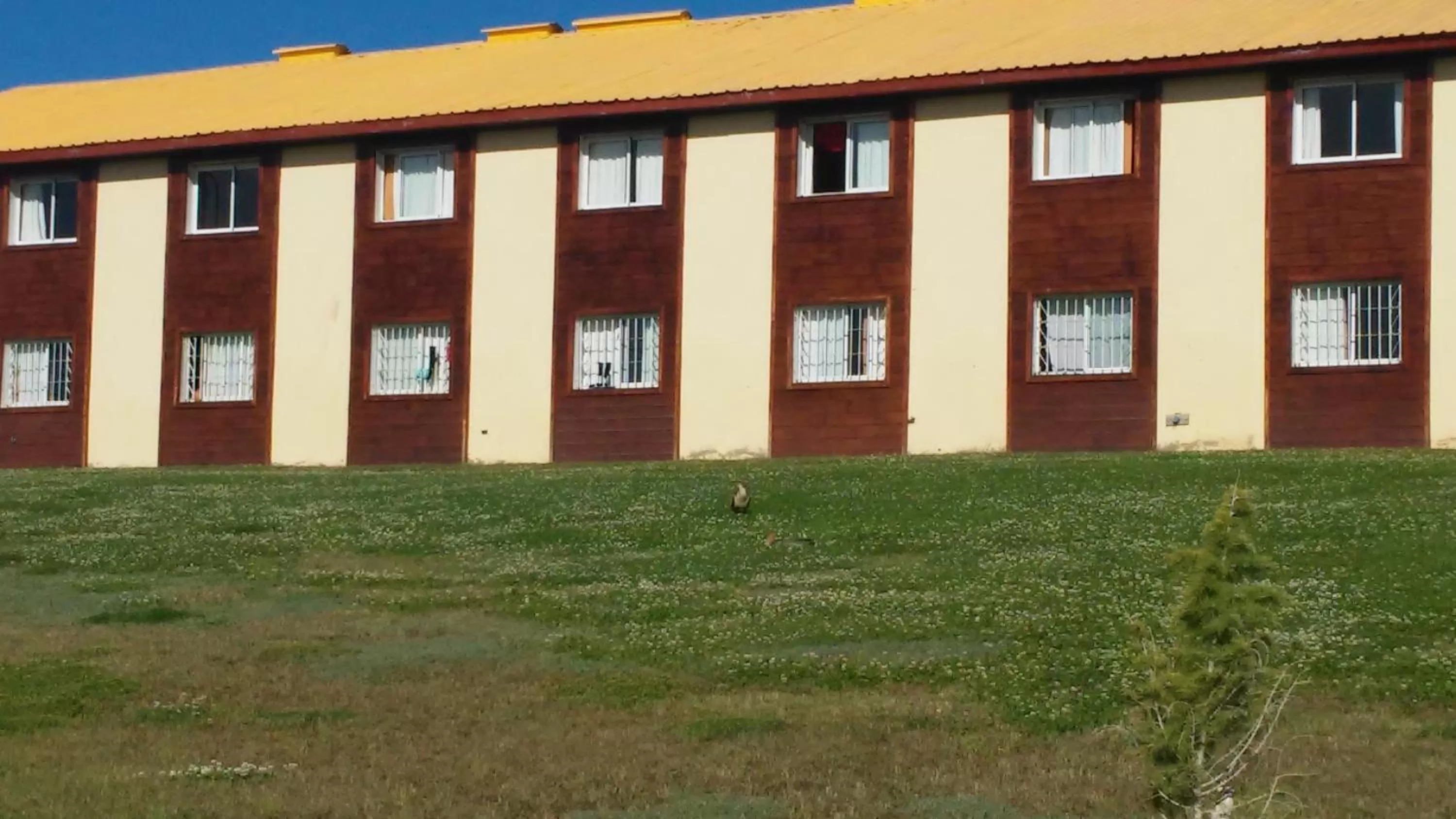 Garden in Hotel Picos Del Sur