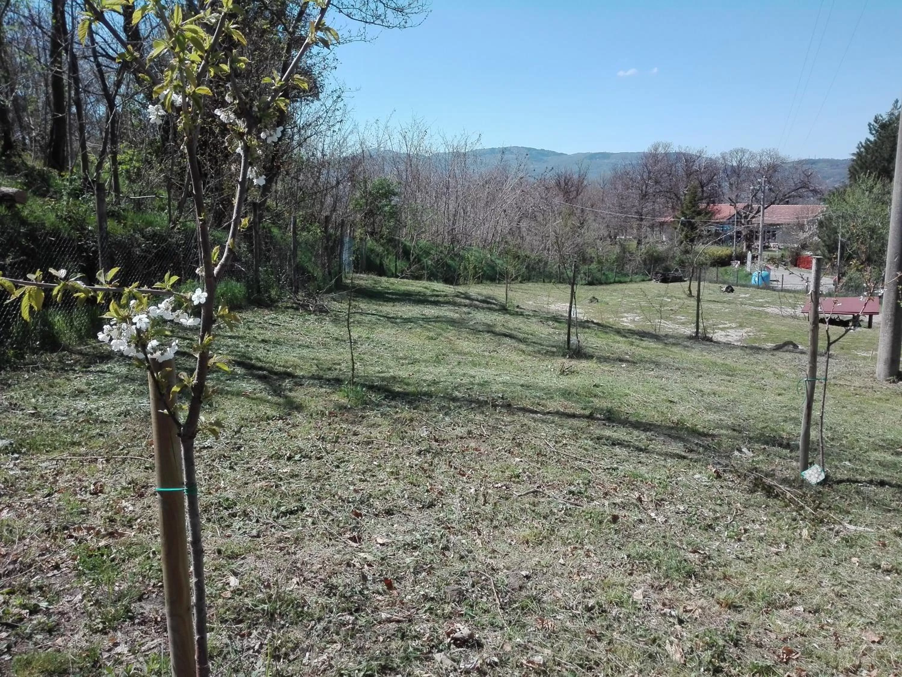 Property building in B&B Podere Legnotorto