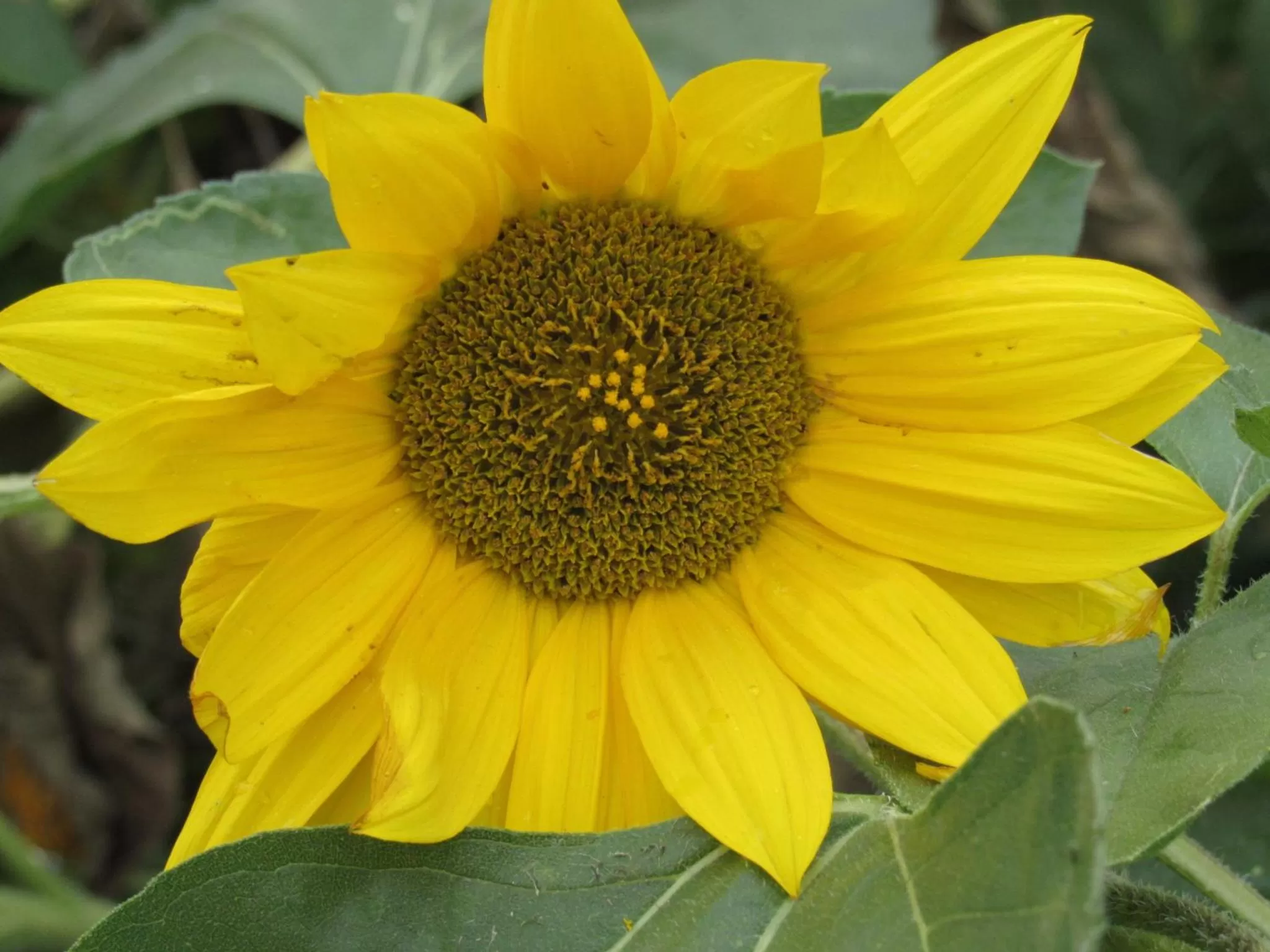 Fishing in Walla Walla Garden Motel