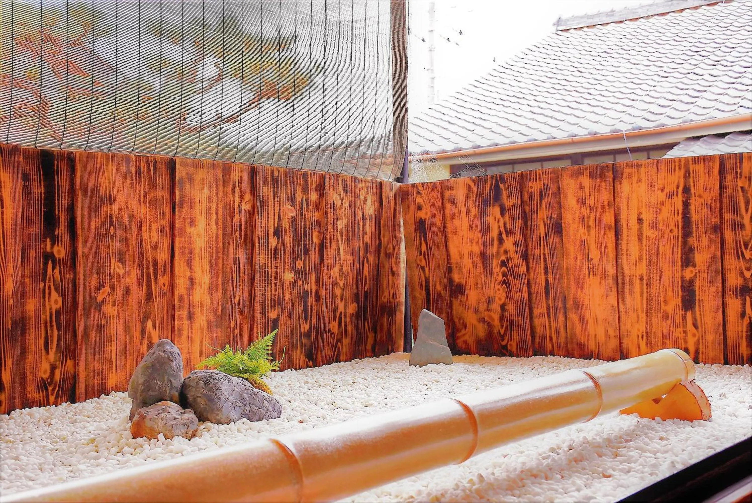 Garden view in Guest House Oumi