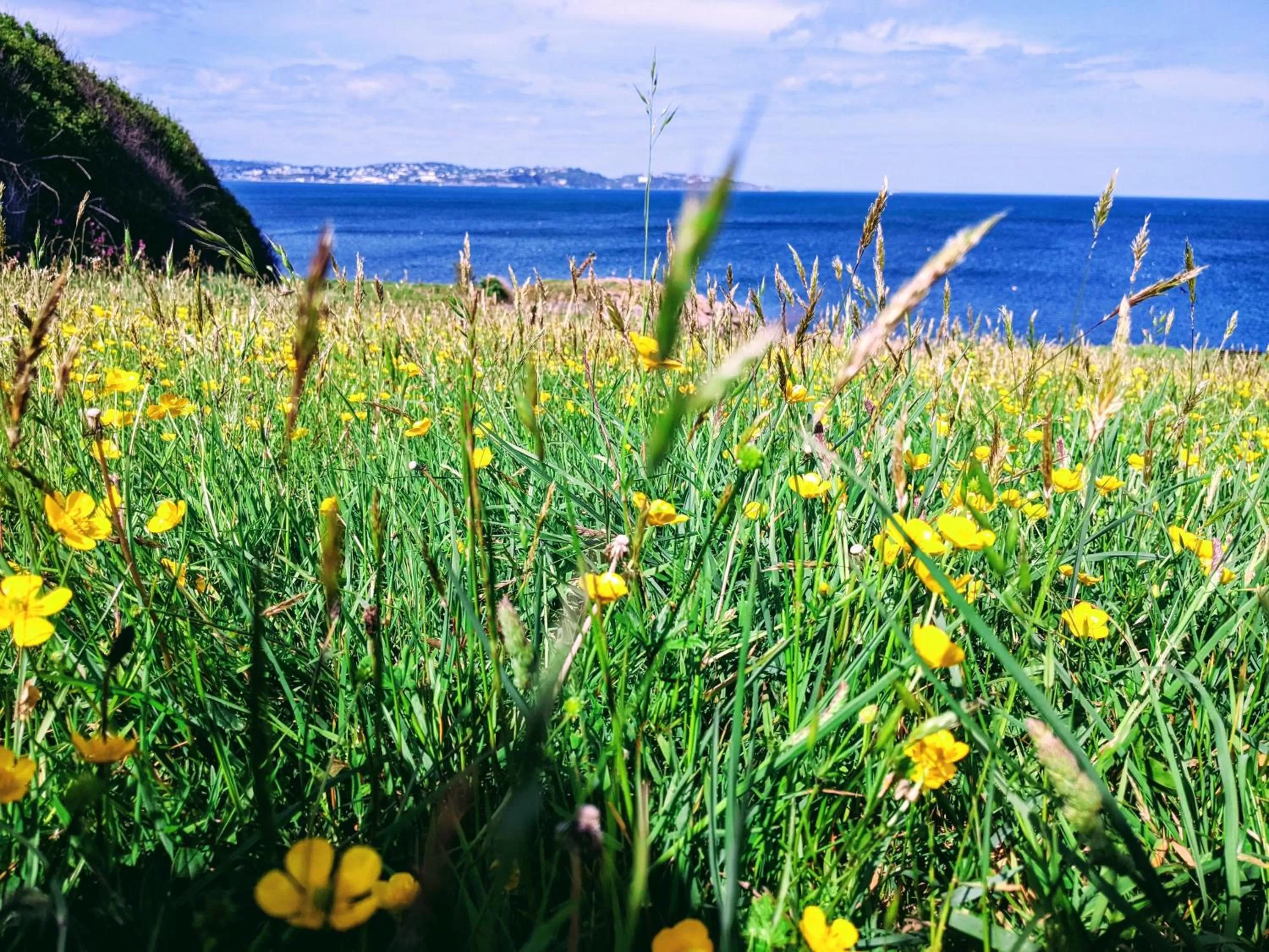 Neighbourhood in Abingdon House