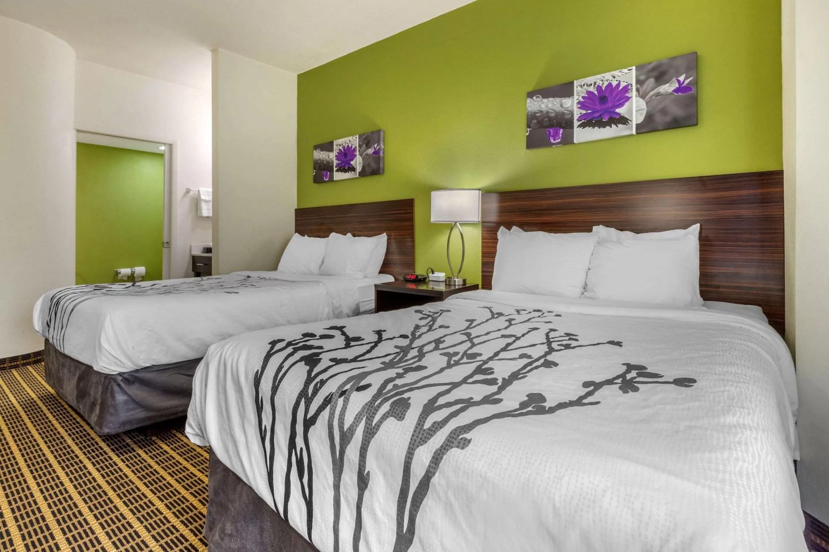 Photo of the whole room, Bed in Sleep Inn Orangeburg