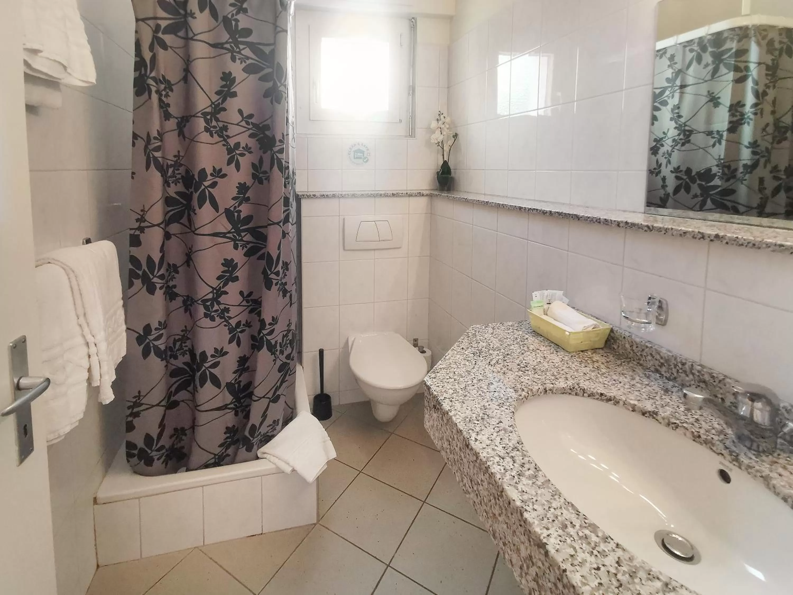 Shower in Hotel des Alpes Bulle center