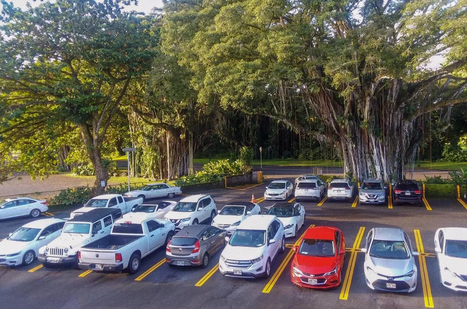 Property building in Hilo Reeds Bay Hotel