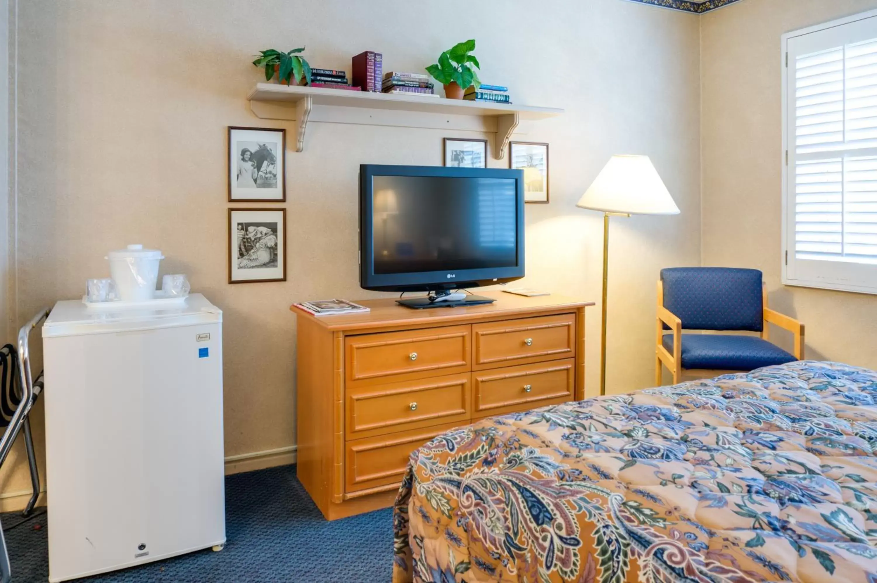 Standard Room with One Double Bed - single occupancy in Saga Motor Hotel Pasadena Standard Room with One Double Bed - single occupancy in Saga Motor Hotel Pasadena