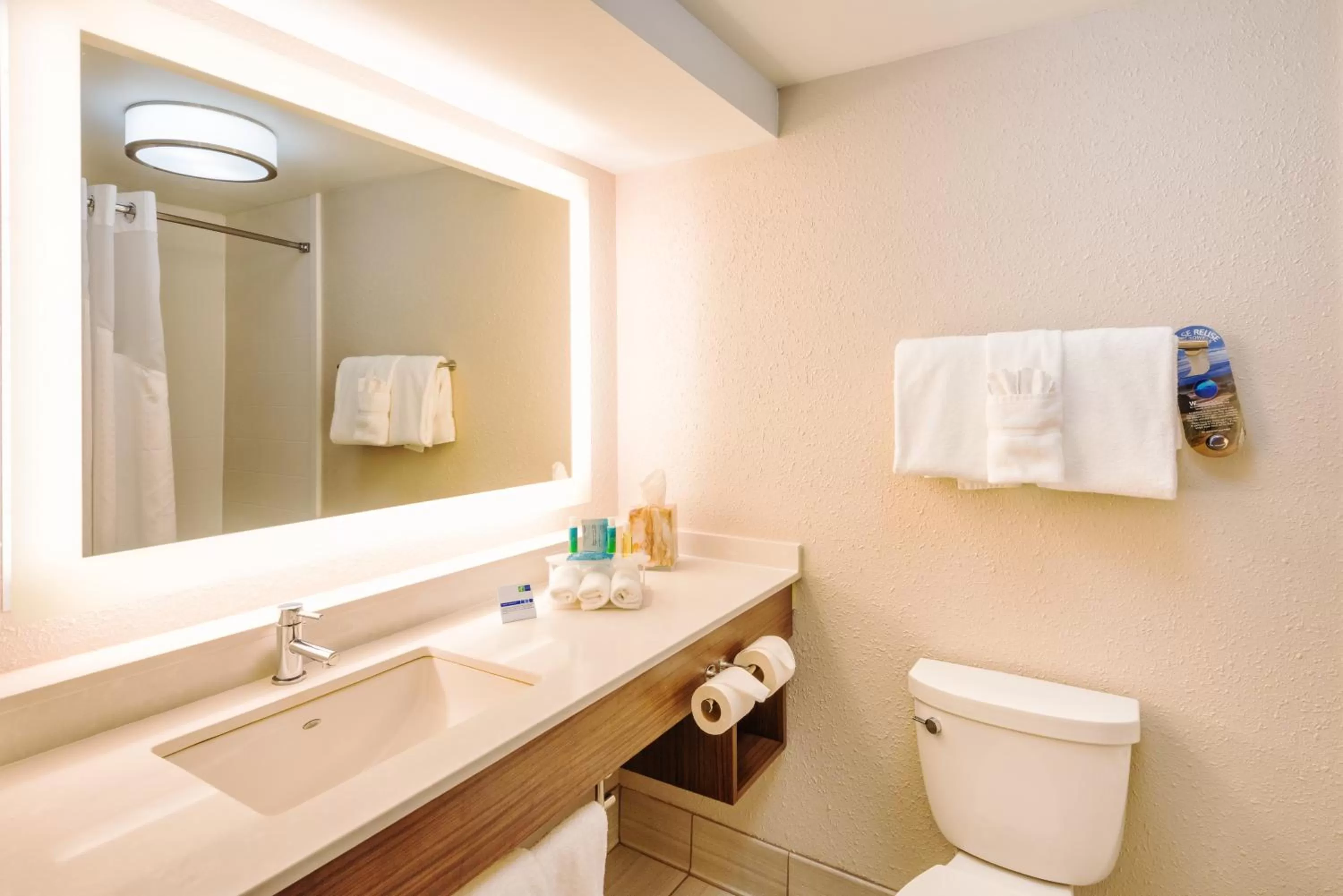 Bathroom in Holiday Inn Express Charleston US Highway 17 & I-526 by IHG