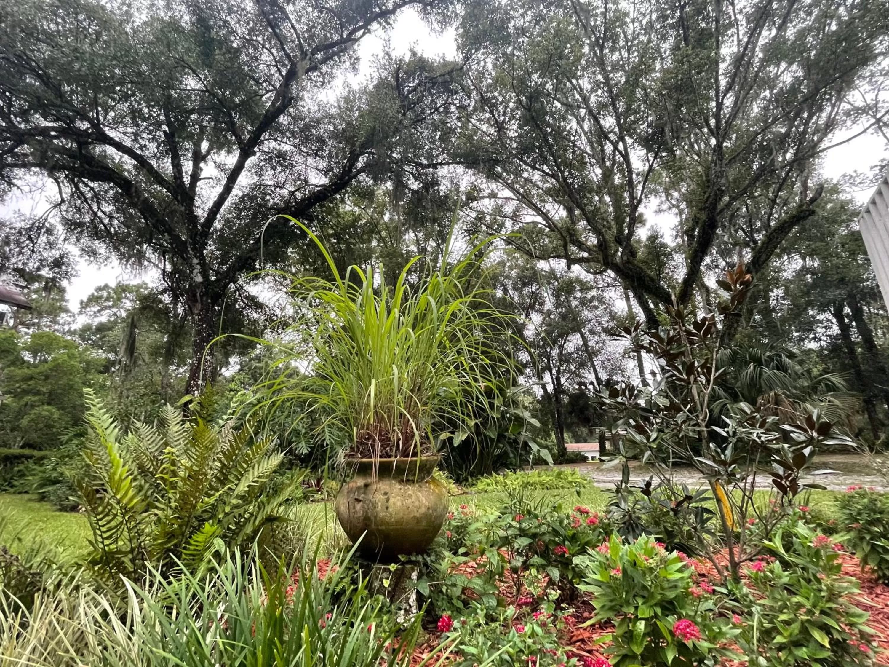 Garden view, Garden in The Ann Stevens House