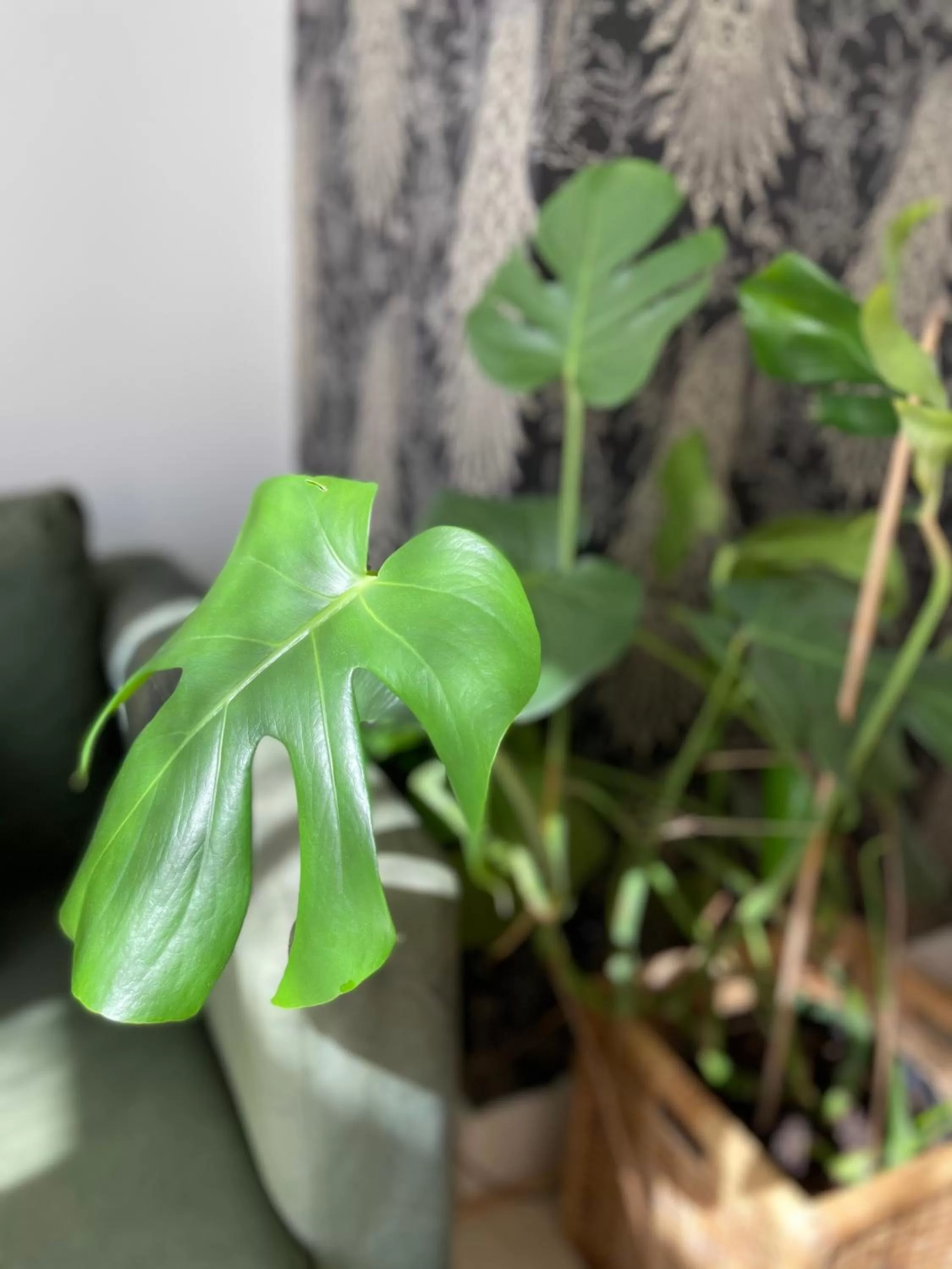 Communal kitchen in B&B Het Atelier