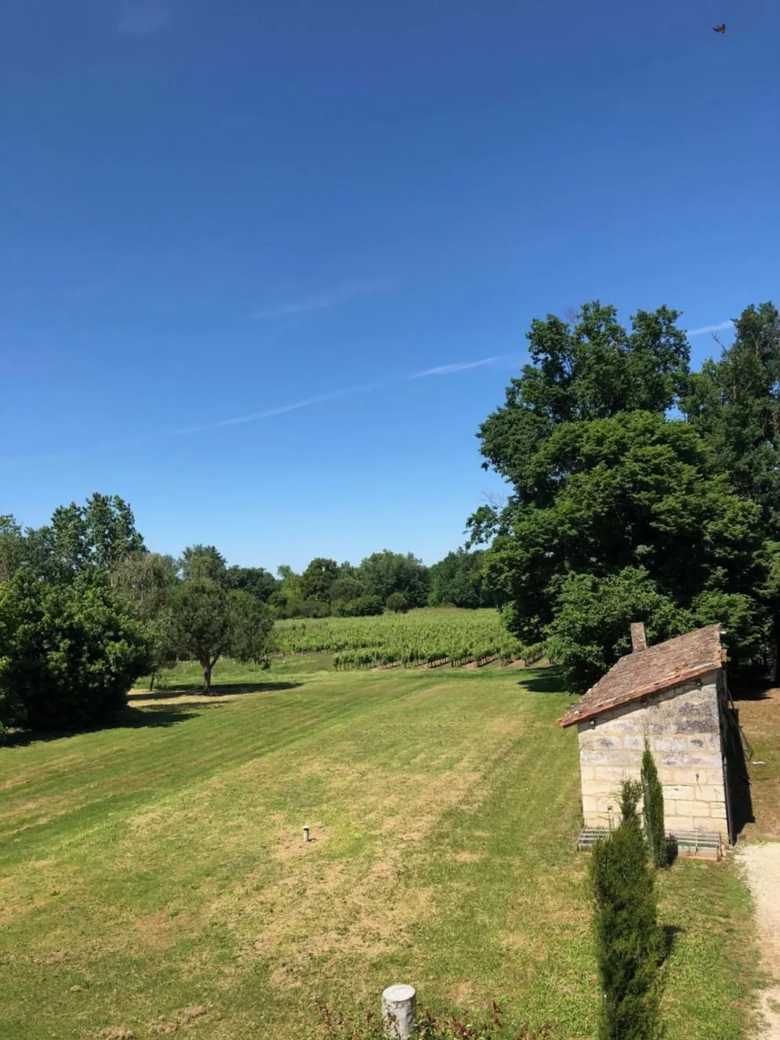 Garden in l'Orangerie de La Pontête