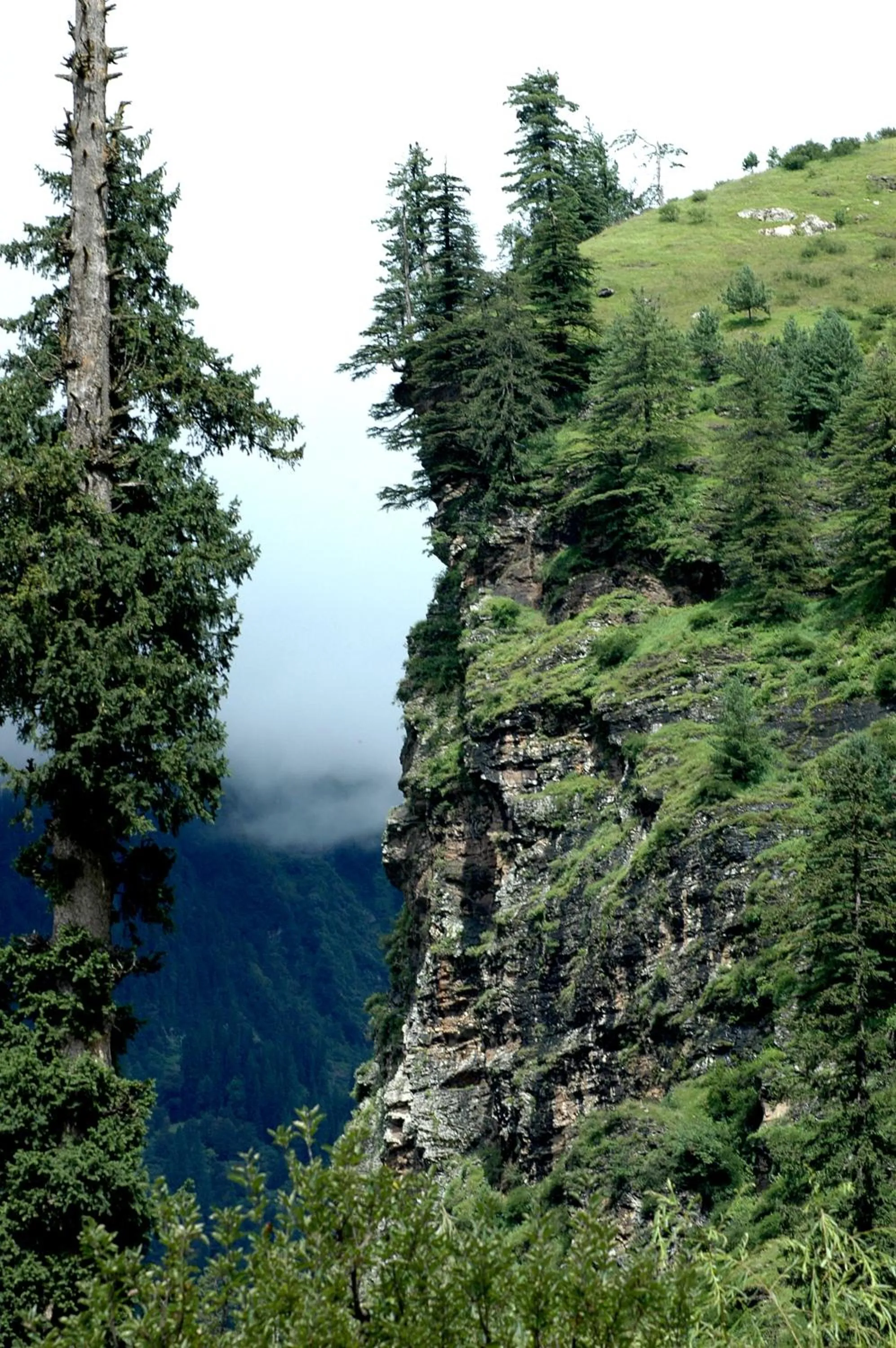 Mountain view in Solang Valley Resort