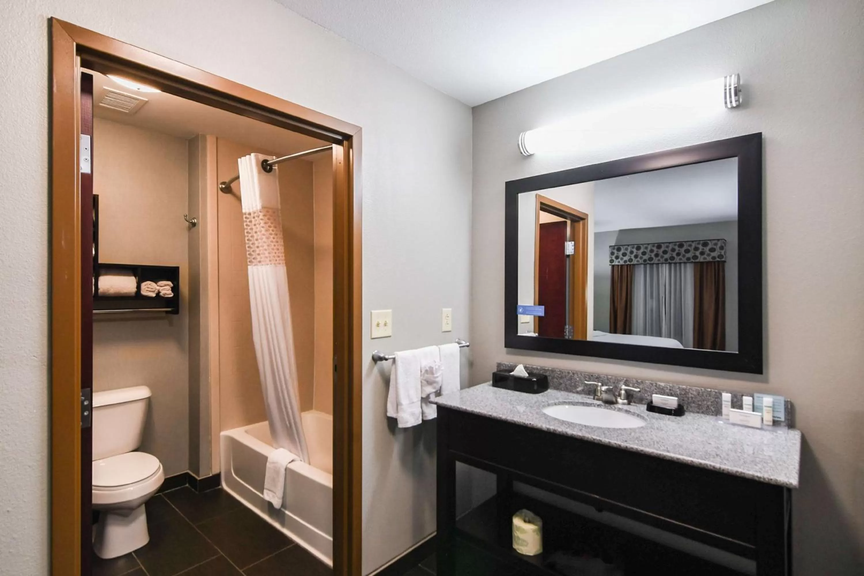 Bathroom in Hampton Inn Foley