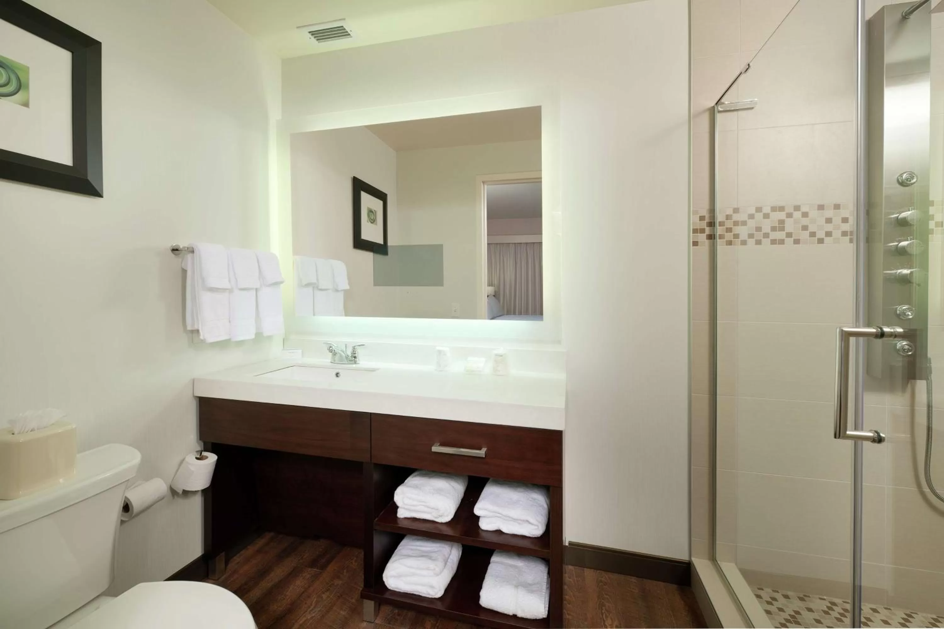 Bathroom in Hilton Garden Inn Pittsburgh Downtown