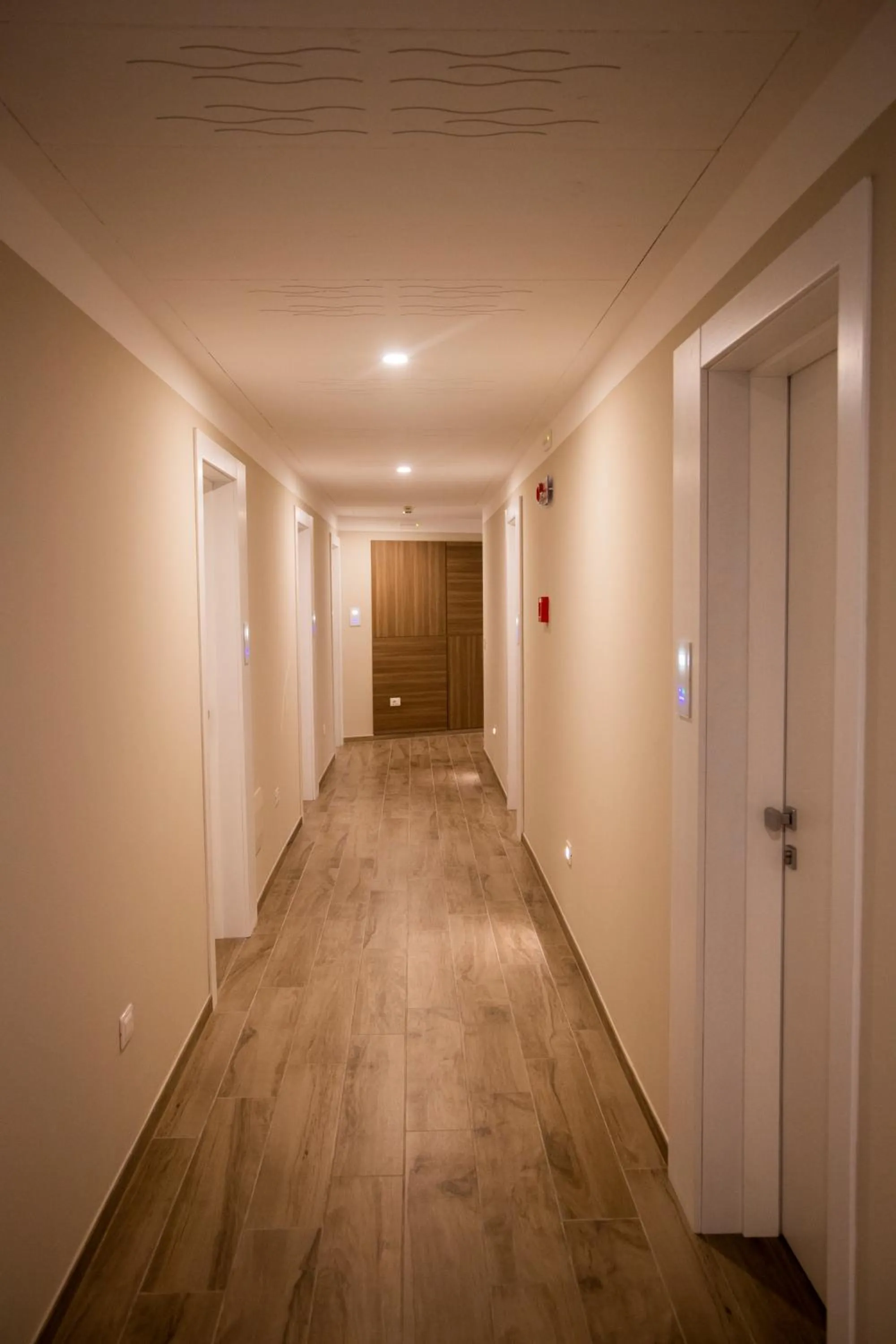 Food close-up in Hotel Adriatico