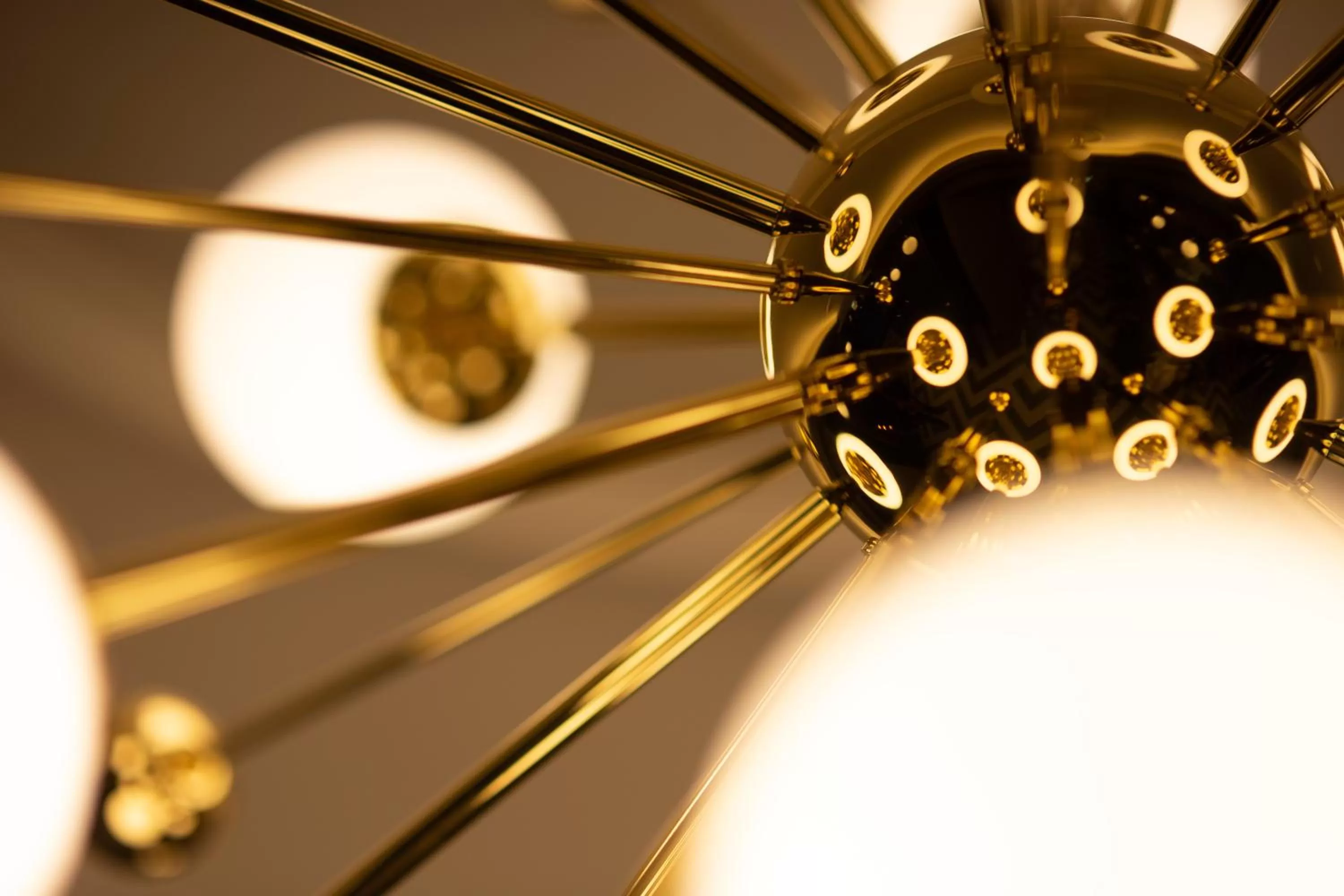 Other in Amsterdam Plaza Hotel & SPA