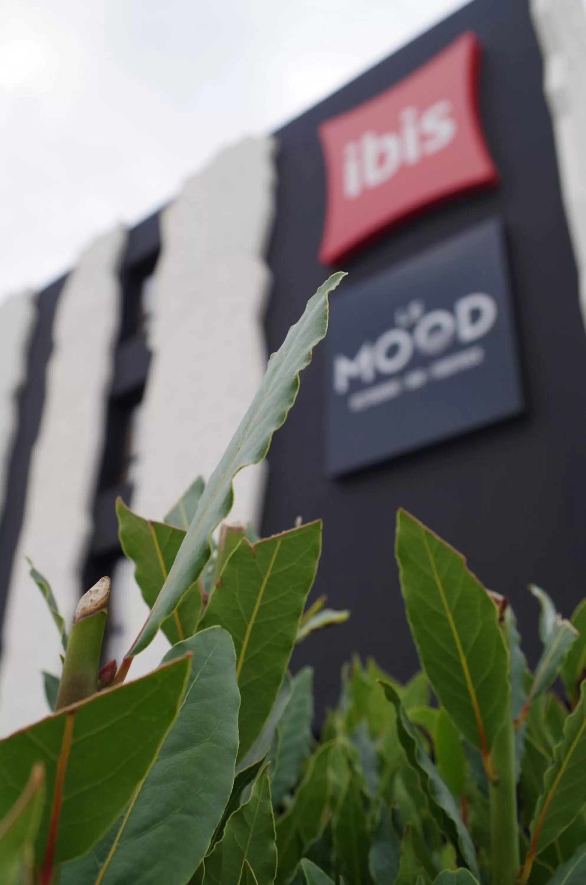 Property building in Ibis Lunel Petite Camargue