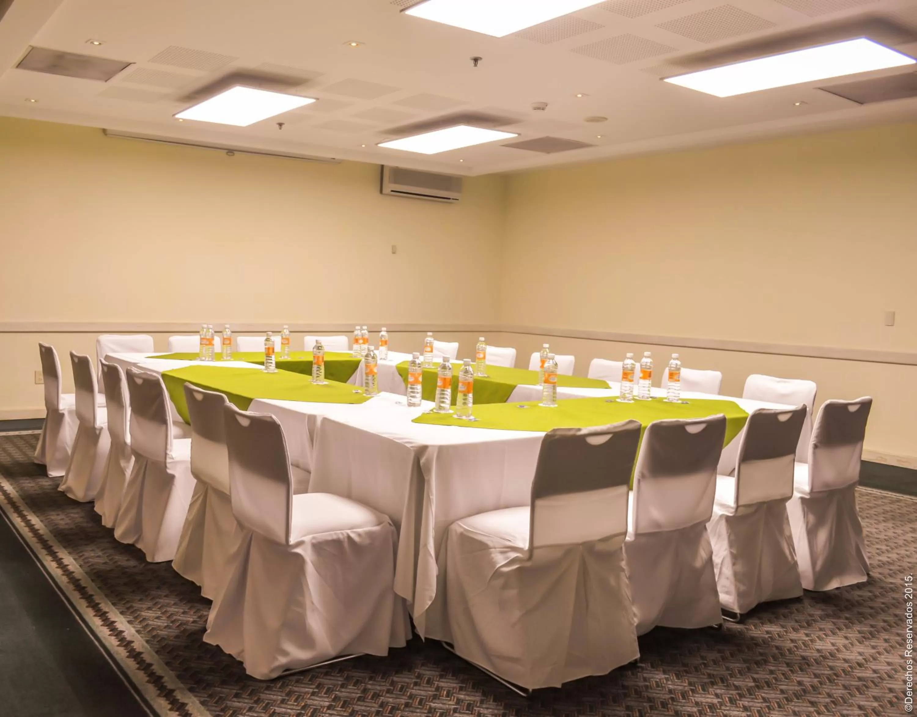 Meeting/conference room in Holiday Inn Leon by IHG