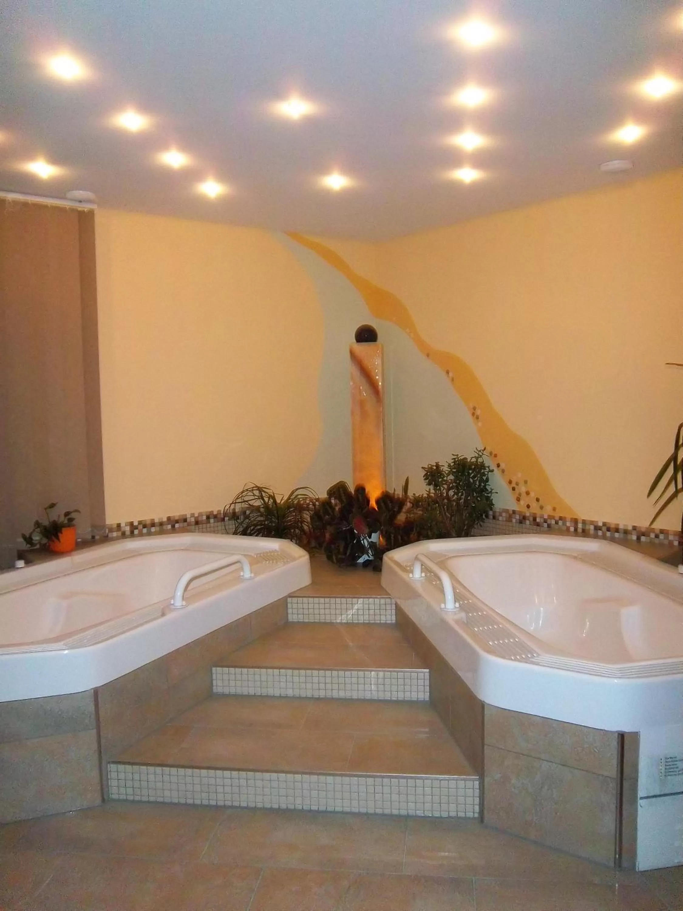 Spa and wellness centre/facilities in Hotel & Pension Aßmann