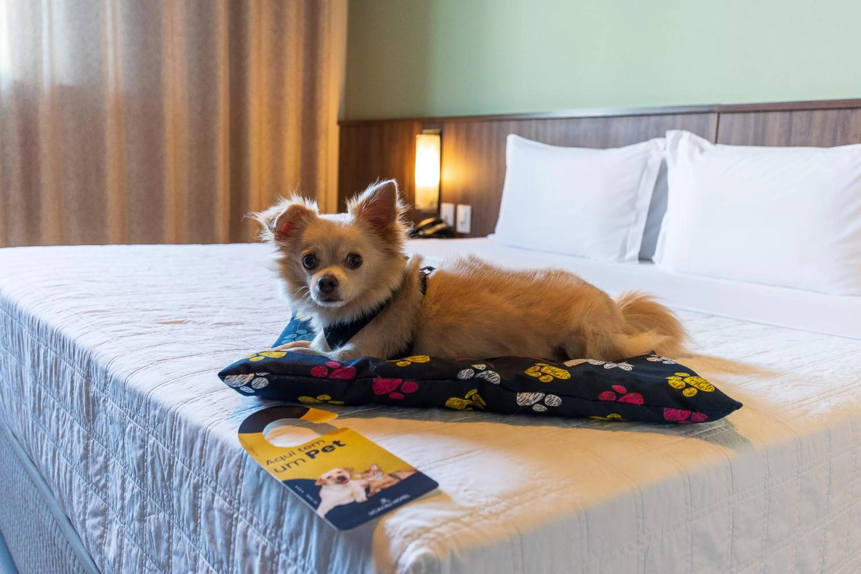 Pets, Bed in Ucayali Hotel