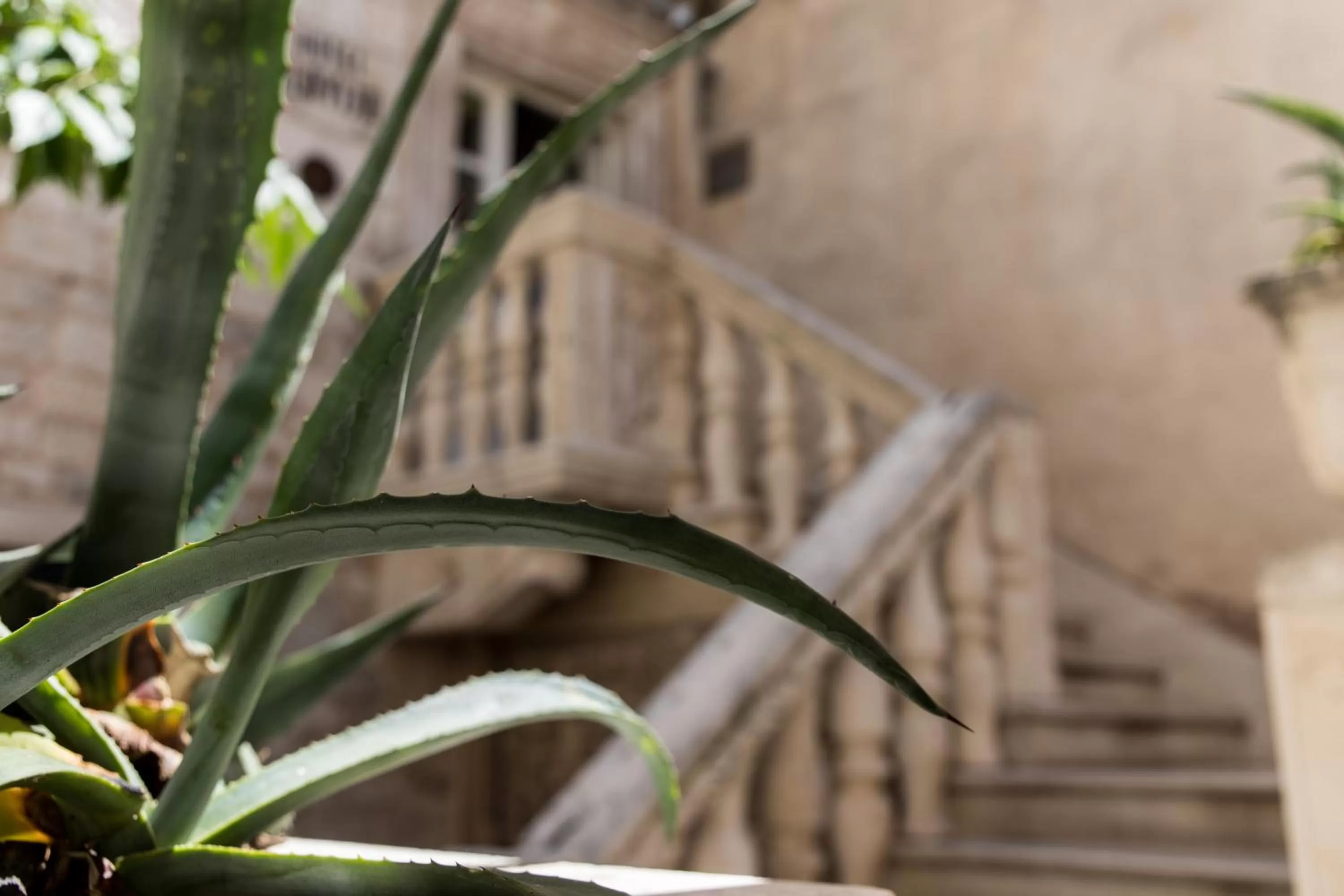 Property building in Slavija Culture Heritage Hotel