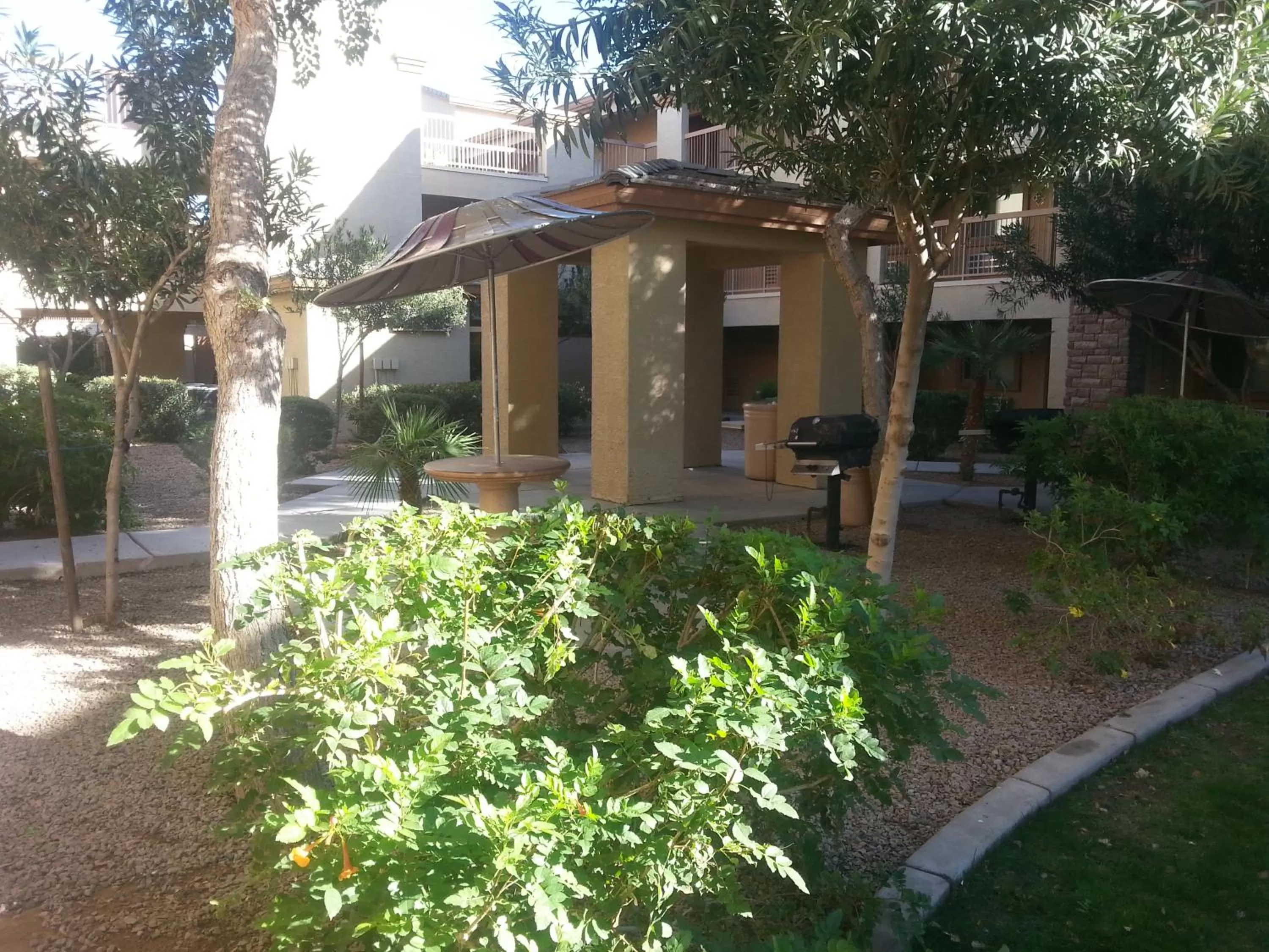BBQ facilities in Siegel Select Casa Grande