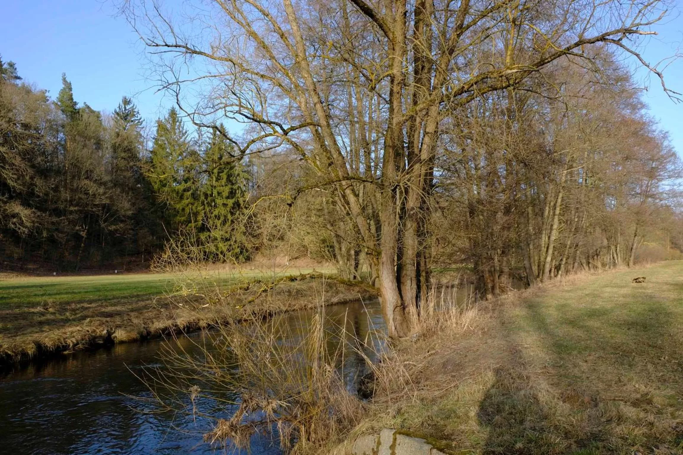 Natural Landscape in Hotel Gasthof Zum weissen Lamm